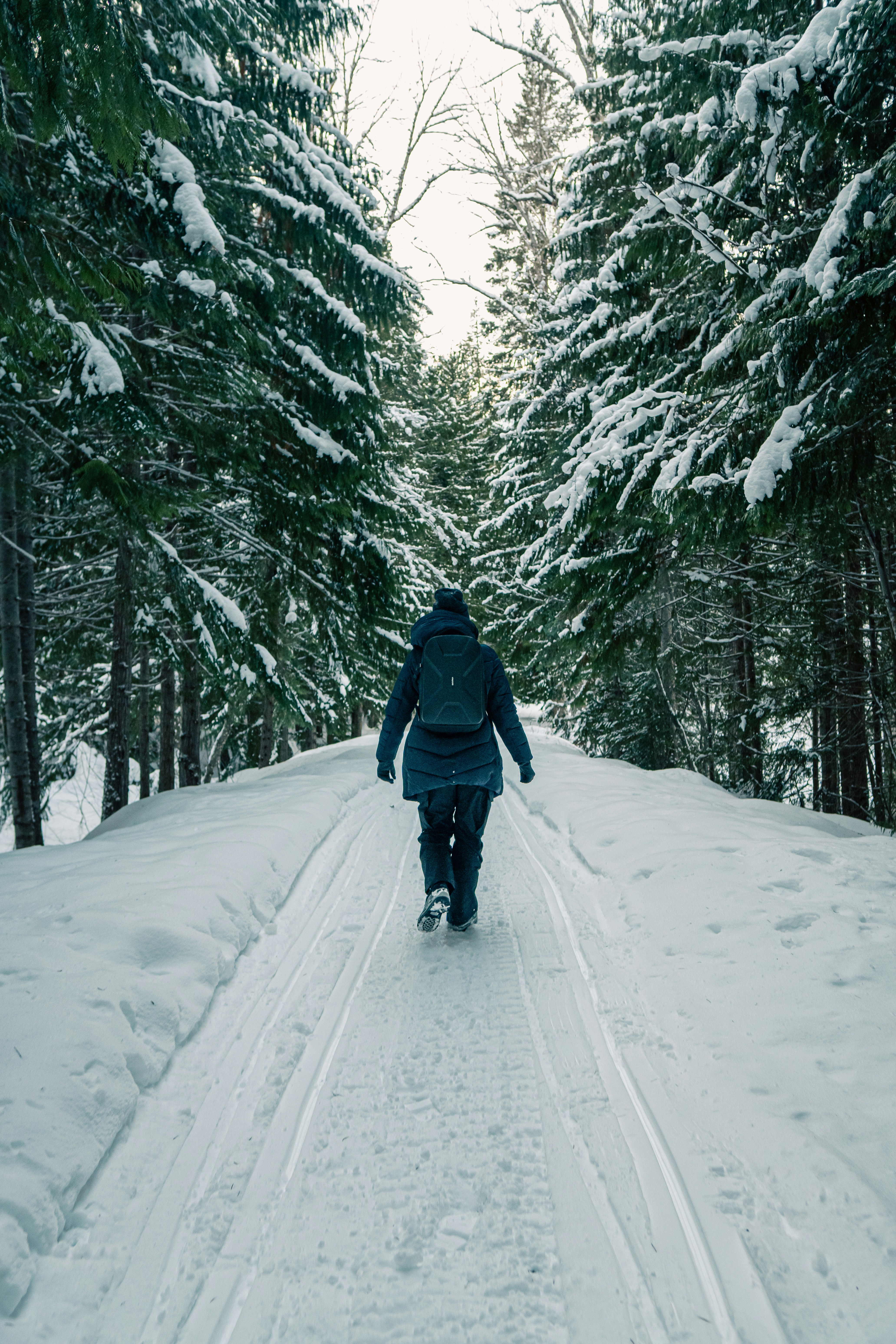 Photo by daniel_akserlod