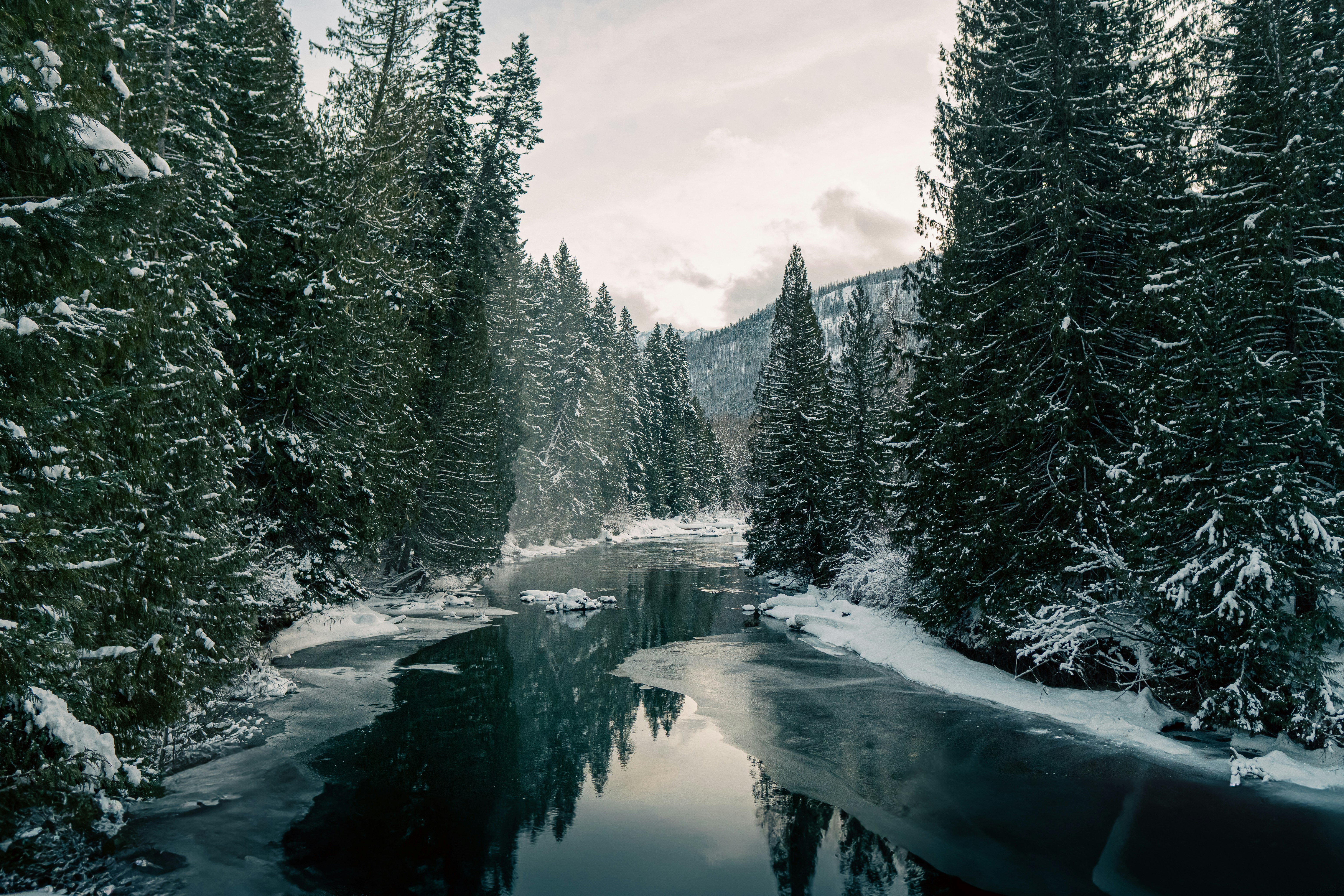 Photo by daniel_akserlod