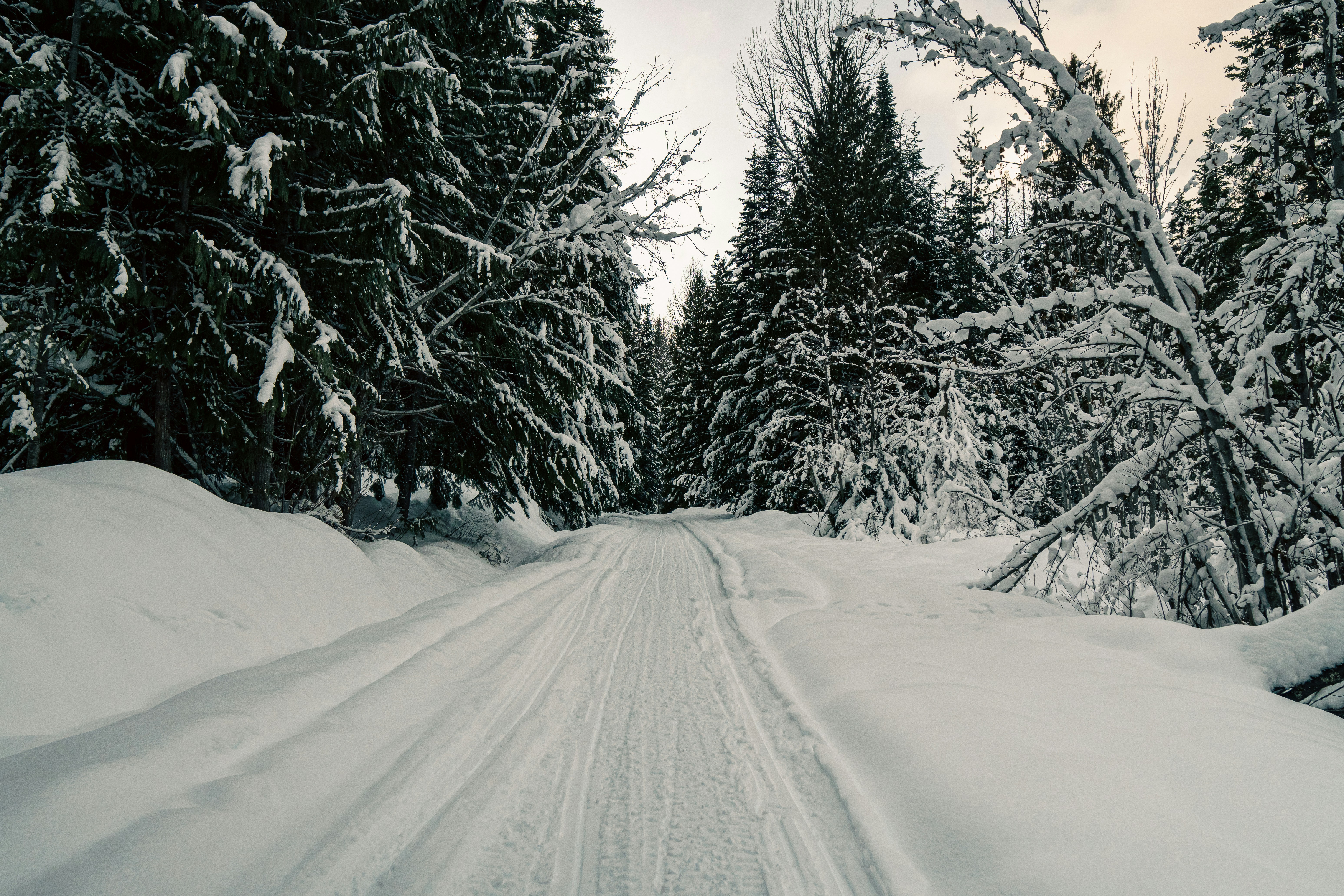 Photo by daniel_akserlod