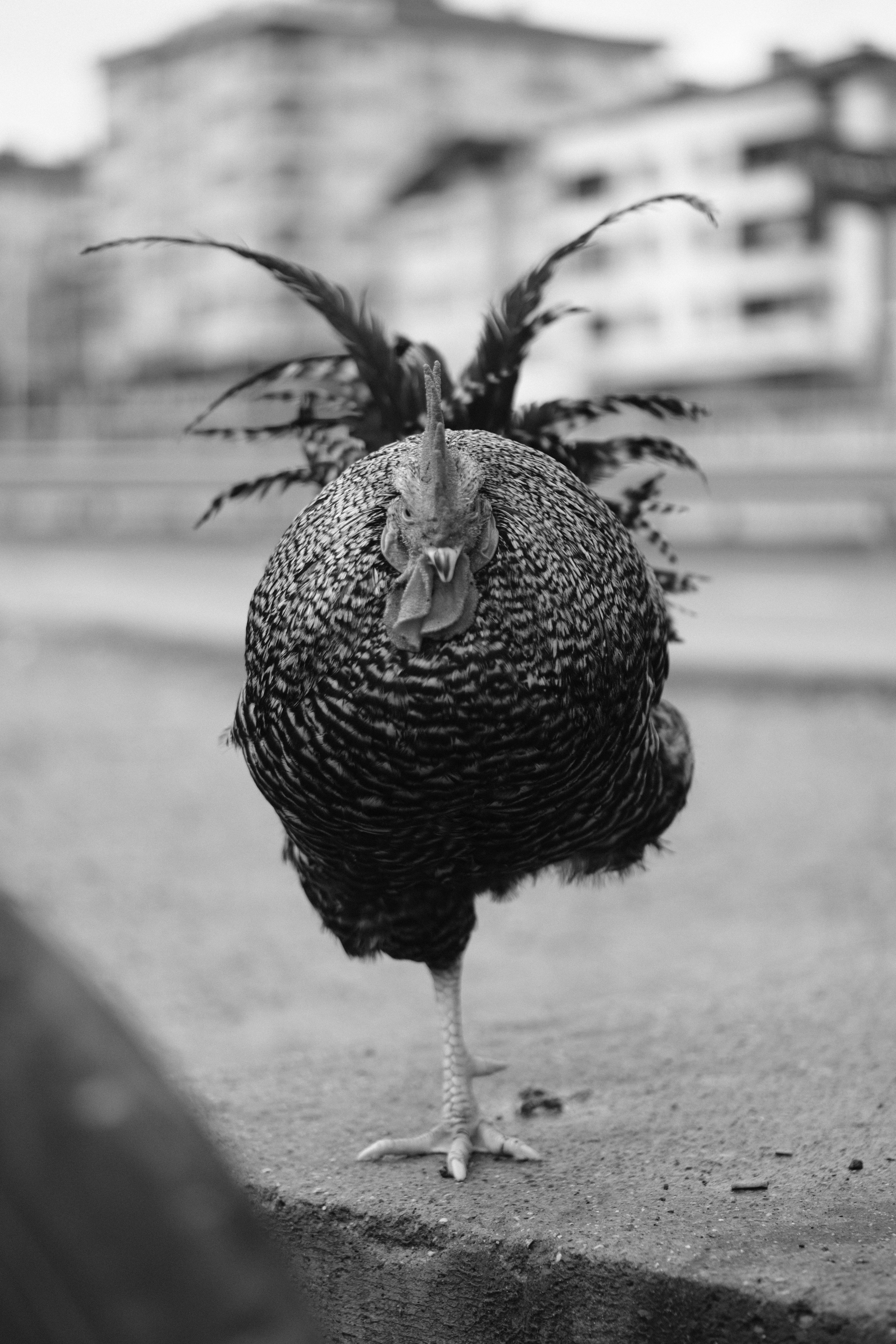 Photo by ismailefetop