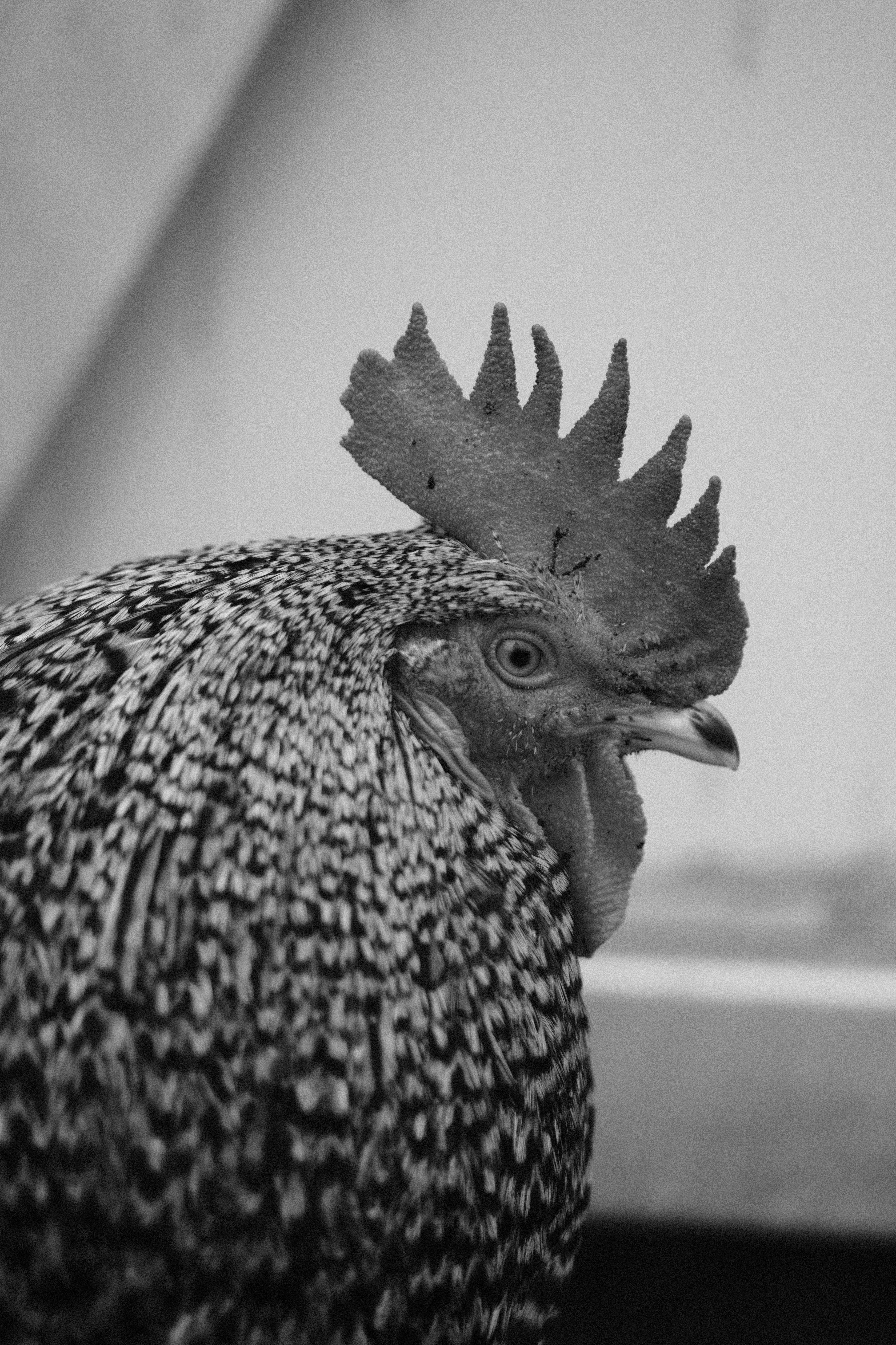 Photo by ismailefetop