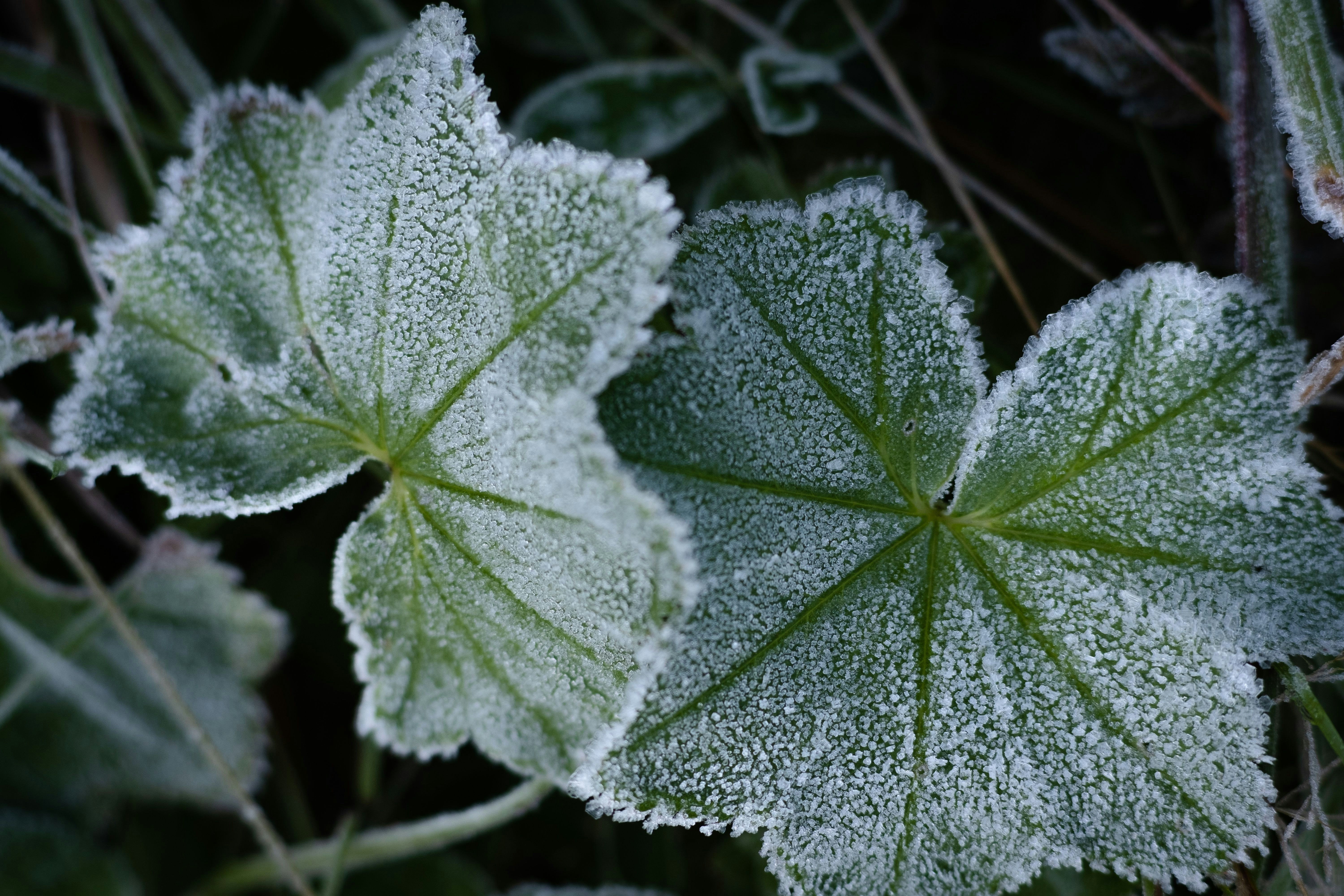 Photo by sevencolors