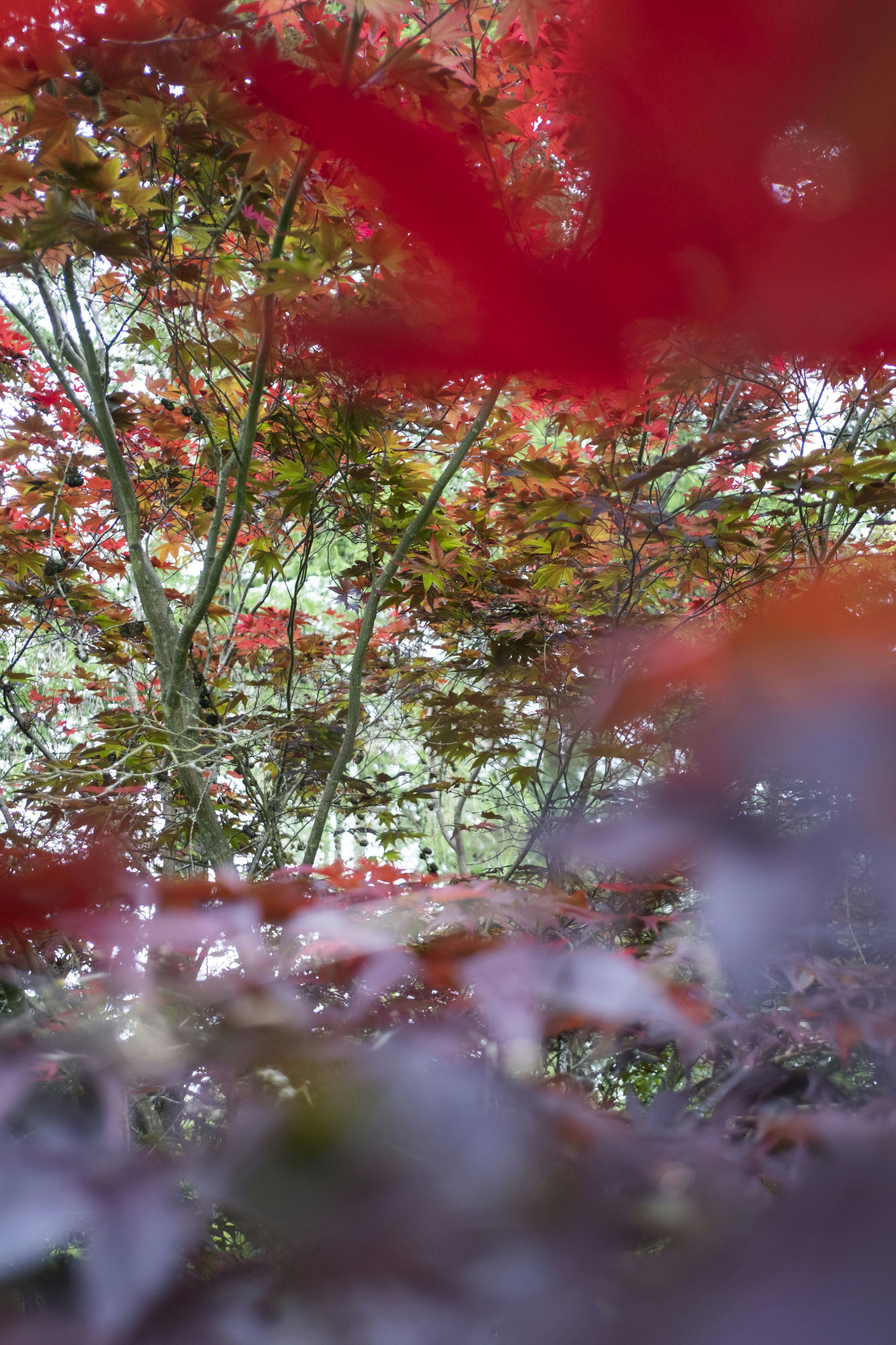 Photo by benhutchings