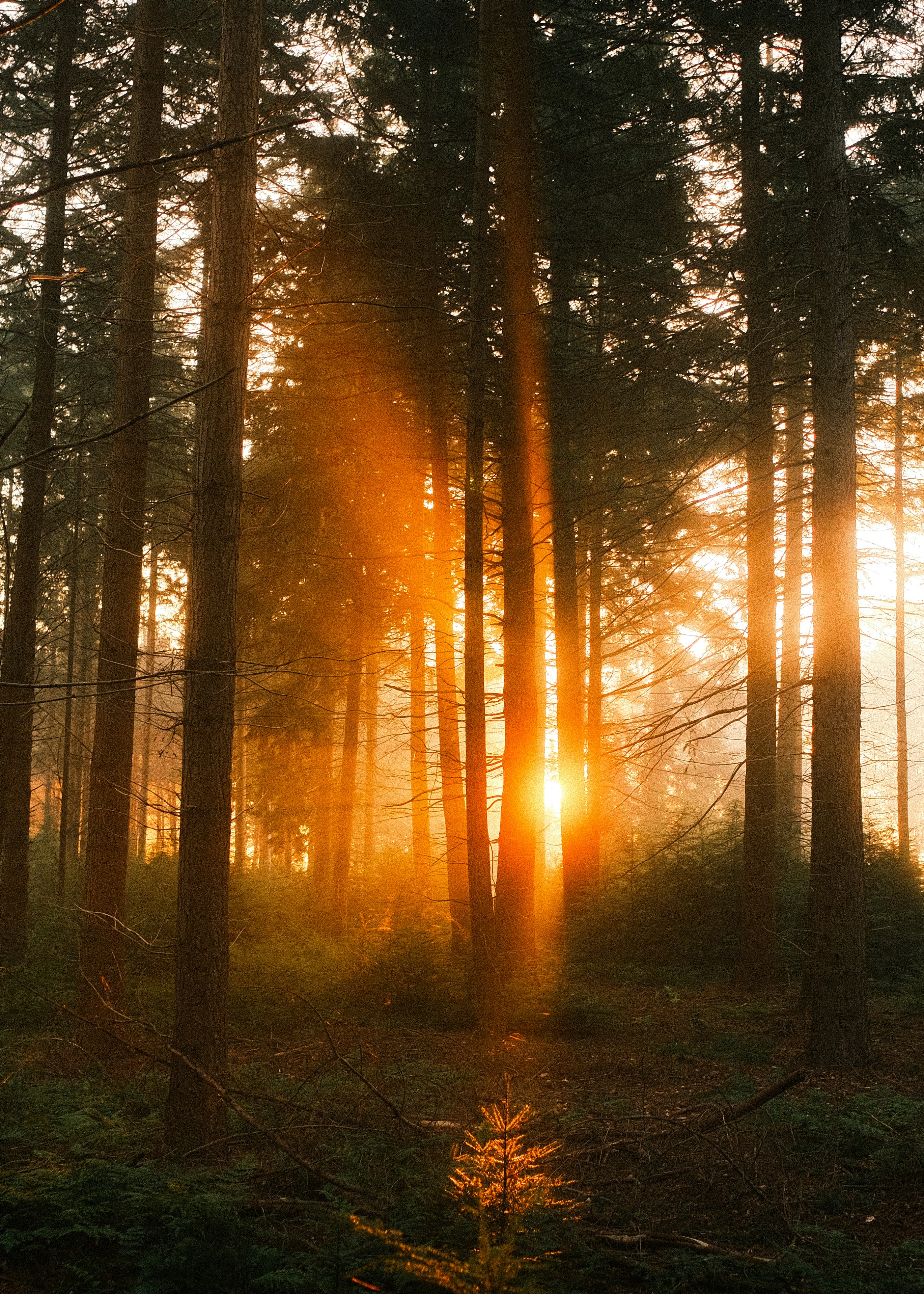 Photo by visualsbying