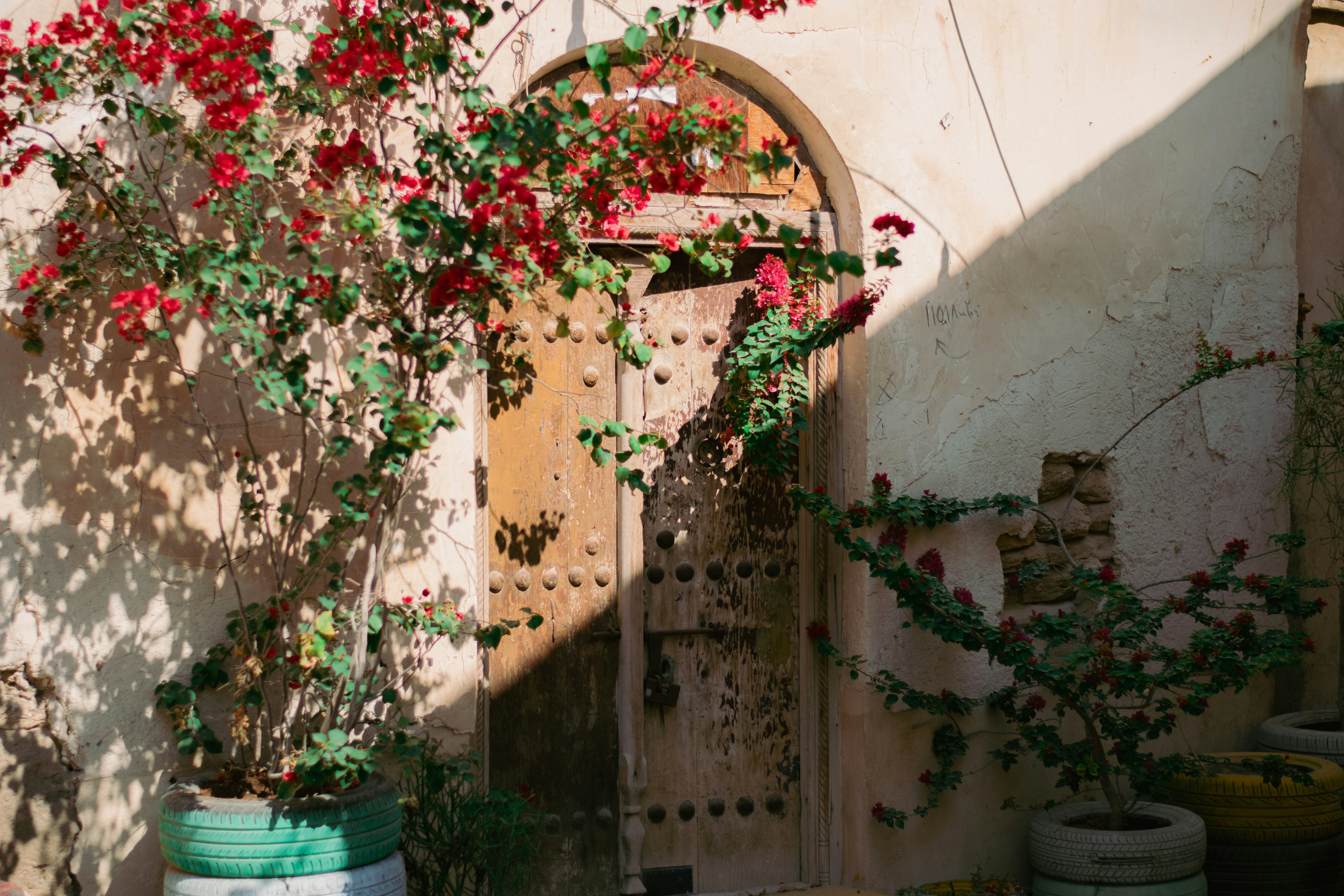 Photo by ilostmyselfout