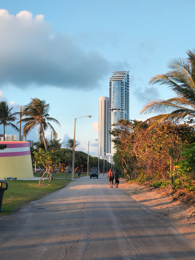 Palm-lined walking and bike path