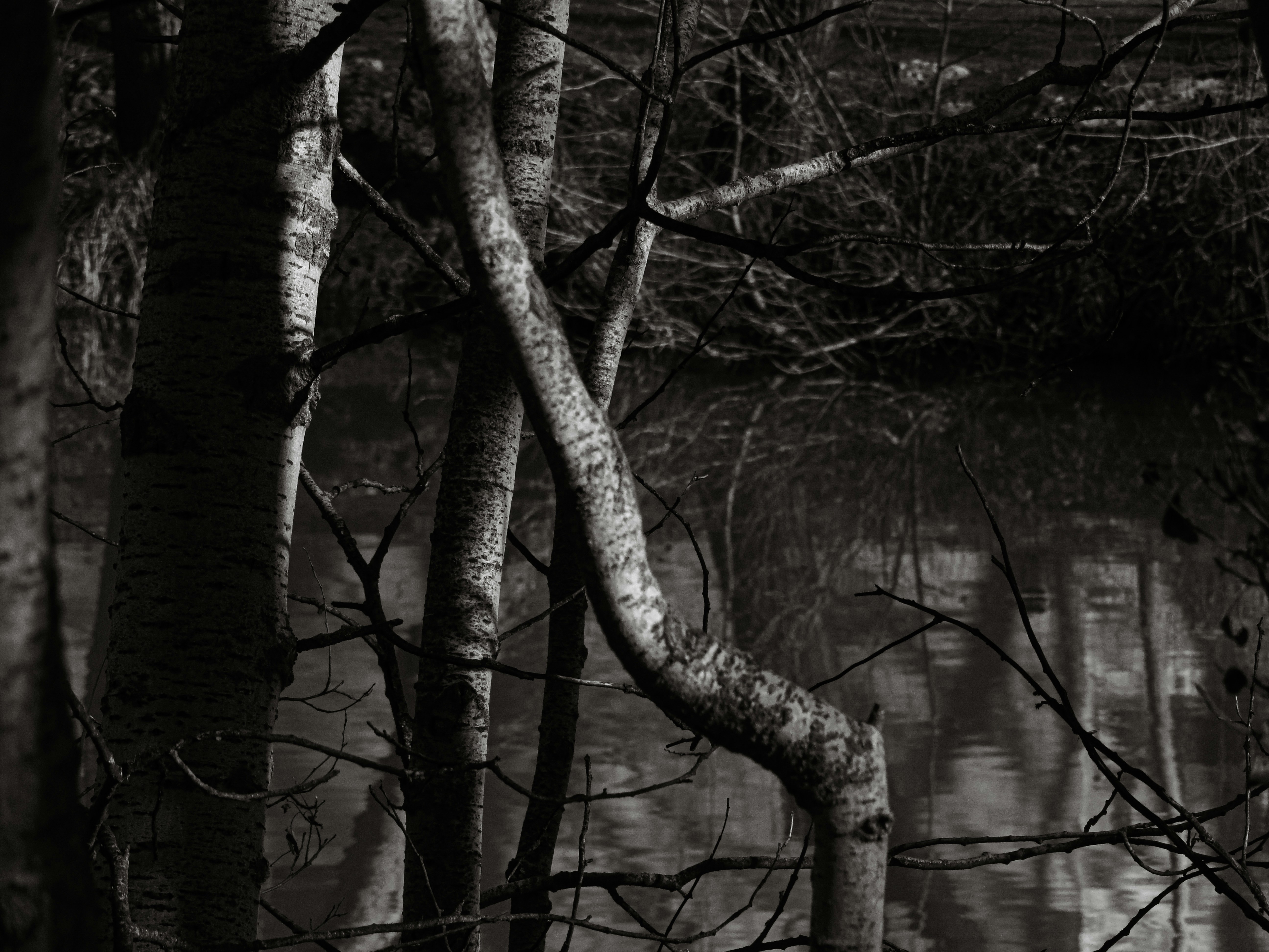 Photo by jgcachafeiro