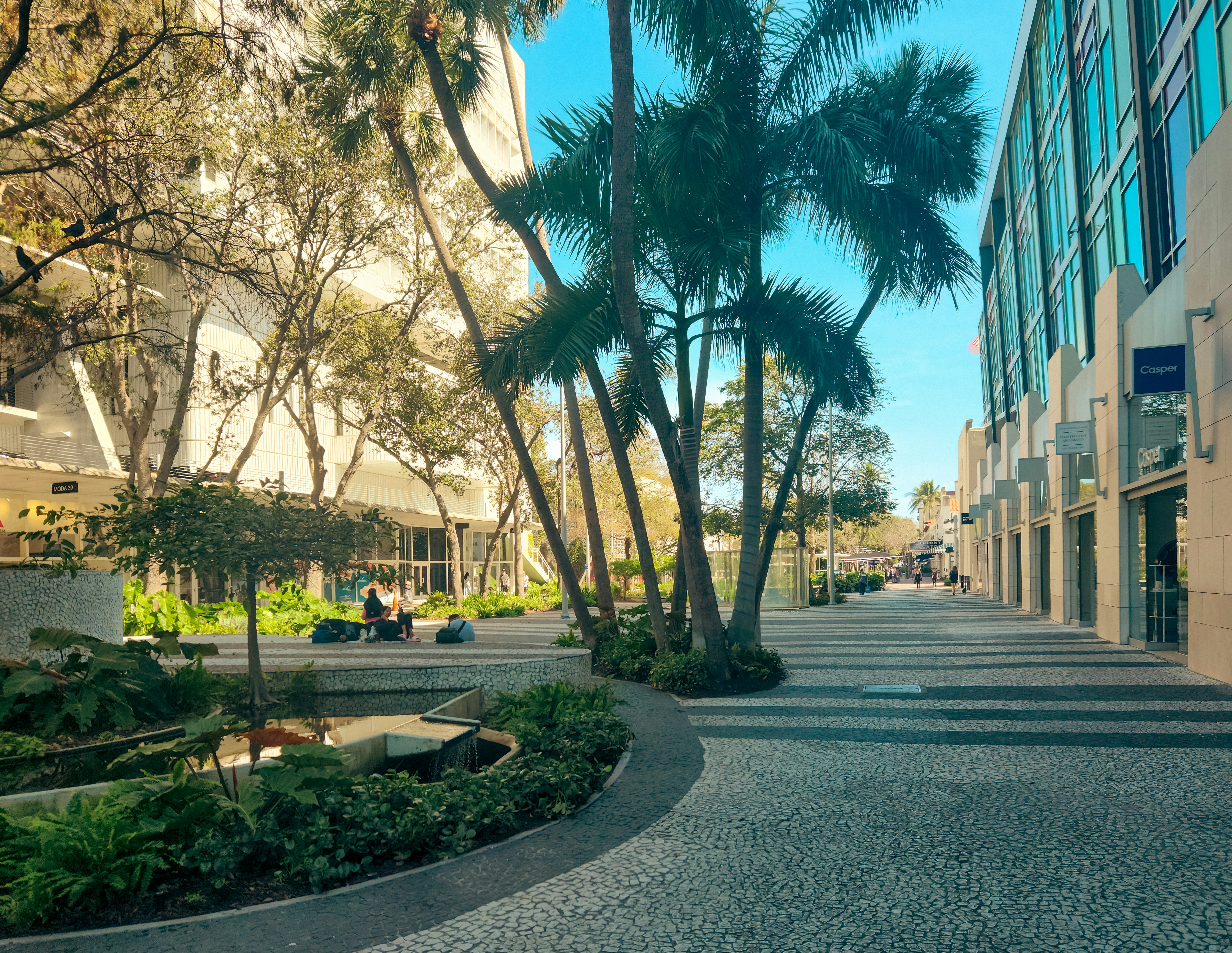 Photo by zoshuacolah