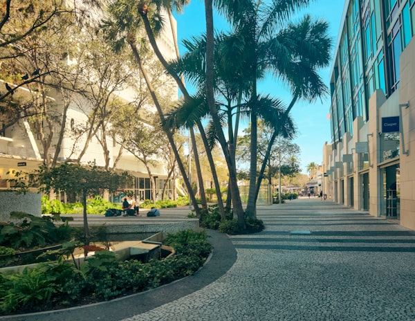 West Palm Beach city street palm trees Florida sunny