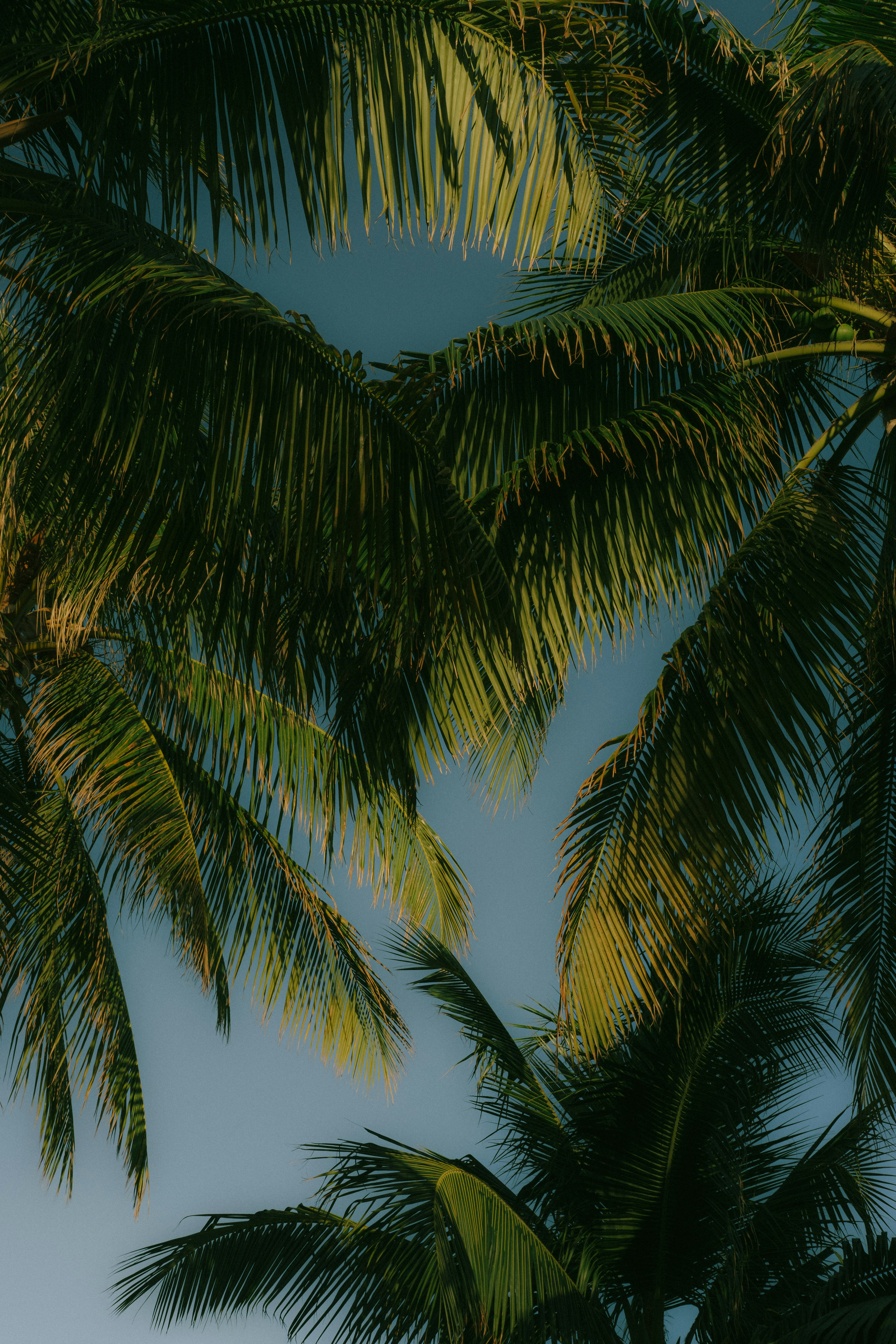 Photo by geoffreybusse