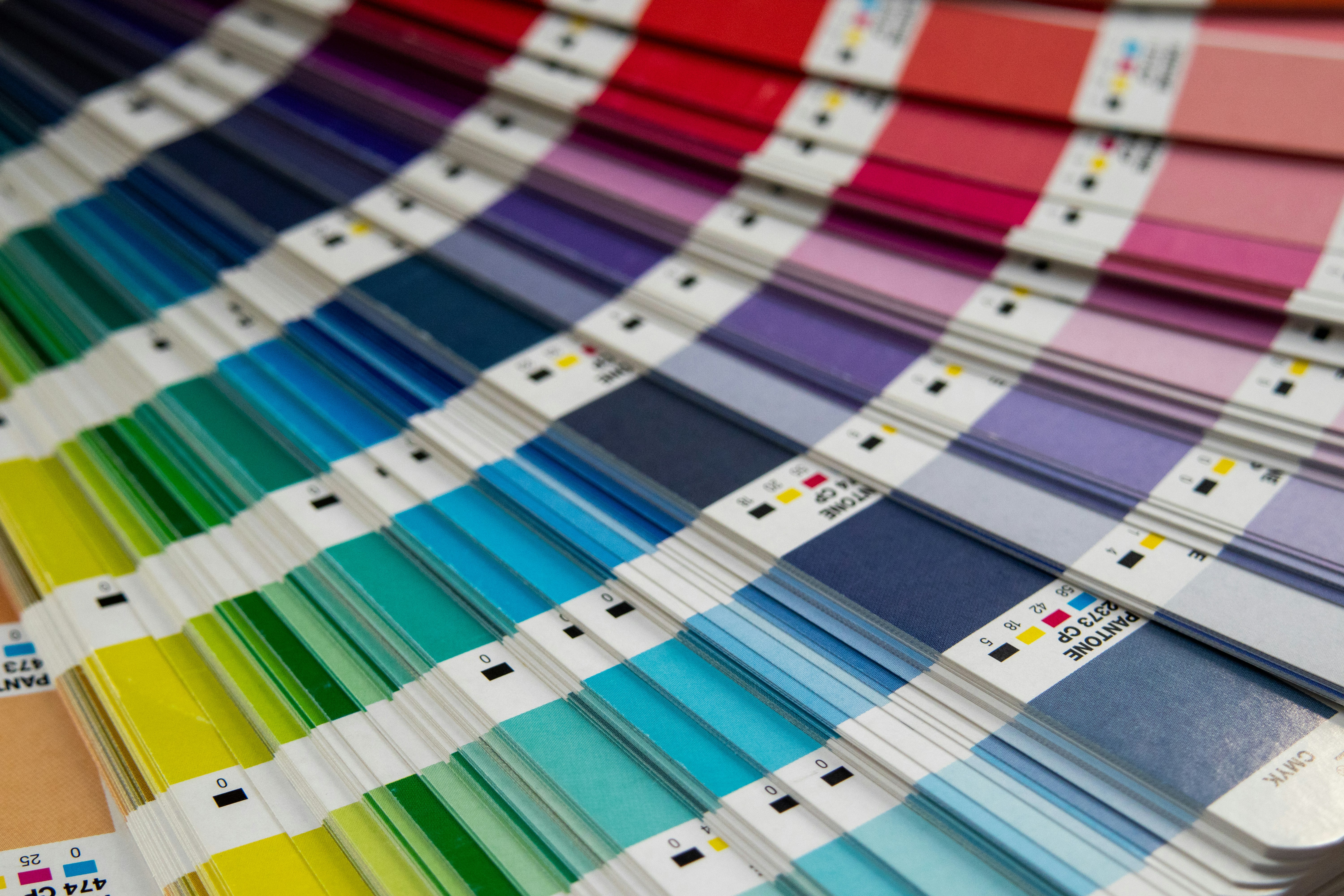 Brand & visual identity