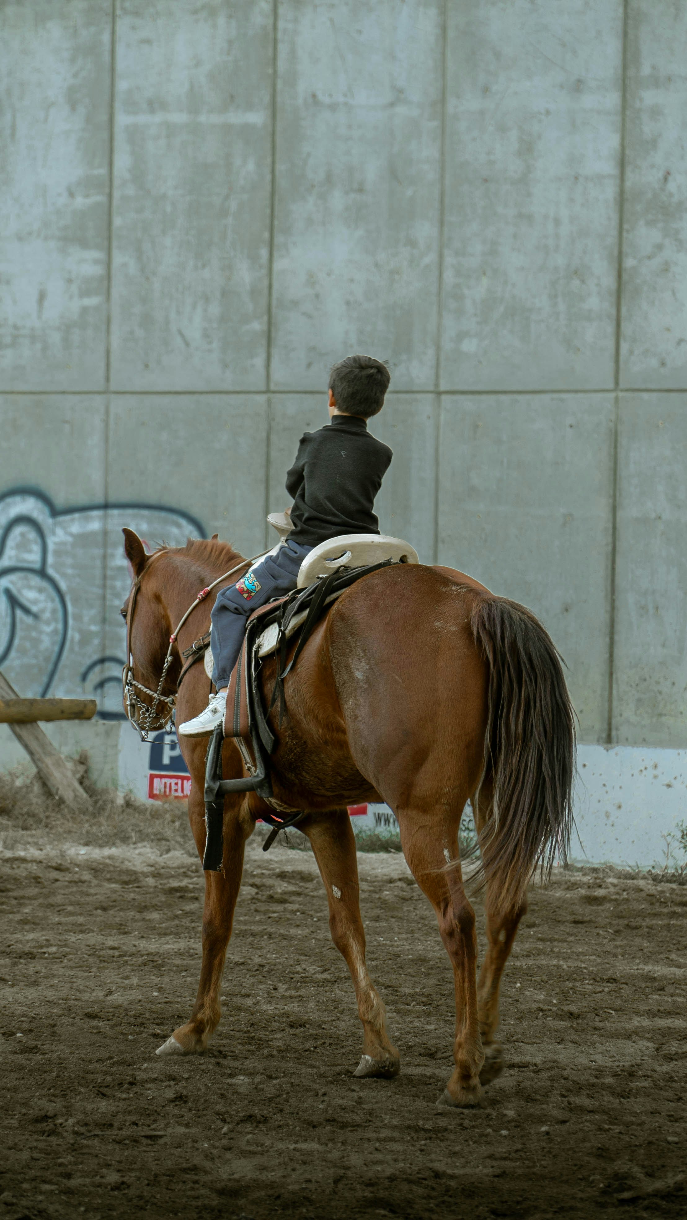 A person riding a horse in front of a building photo – Free Los cabos ...