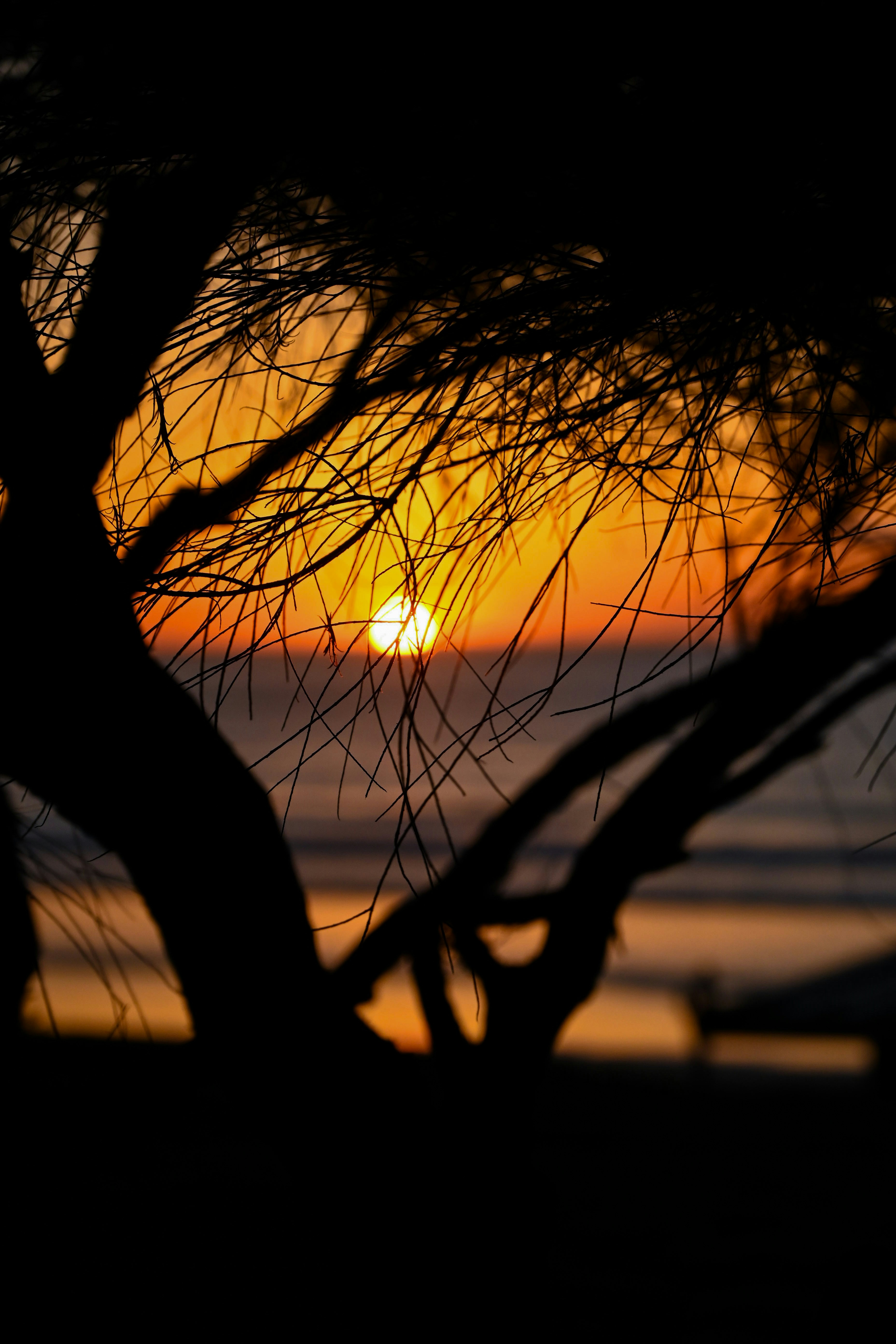 Photo by chrismags0520