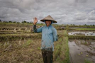 A man in a hat standing in a rice field