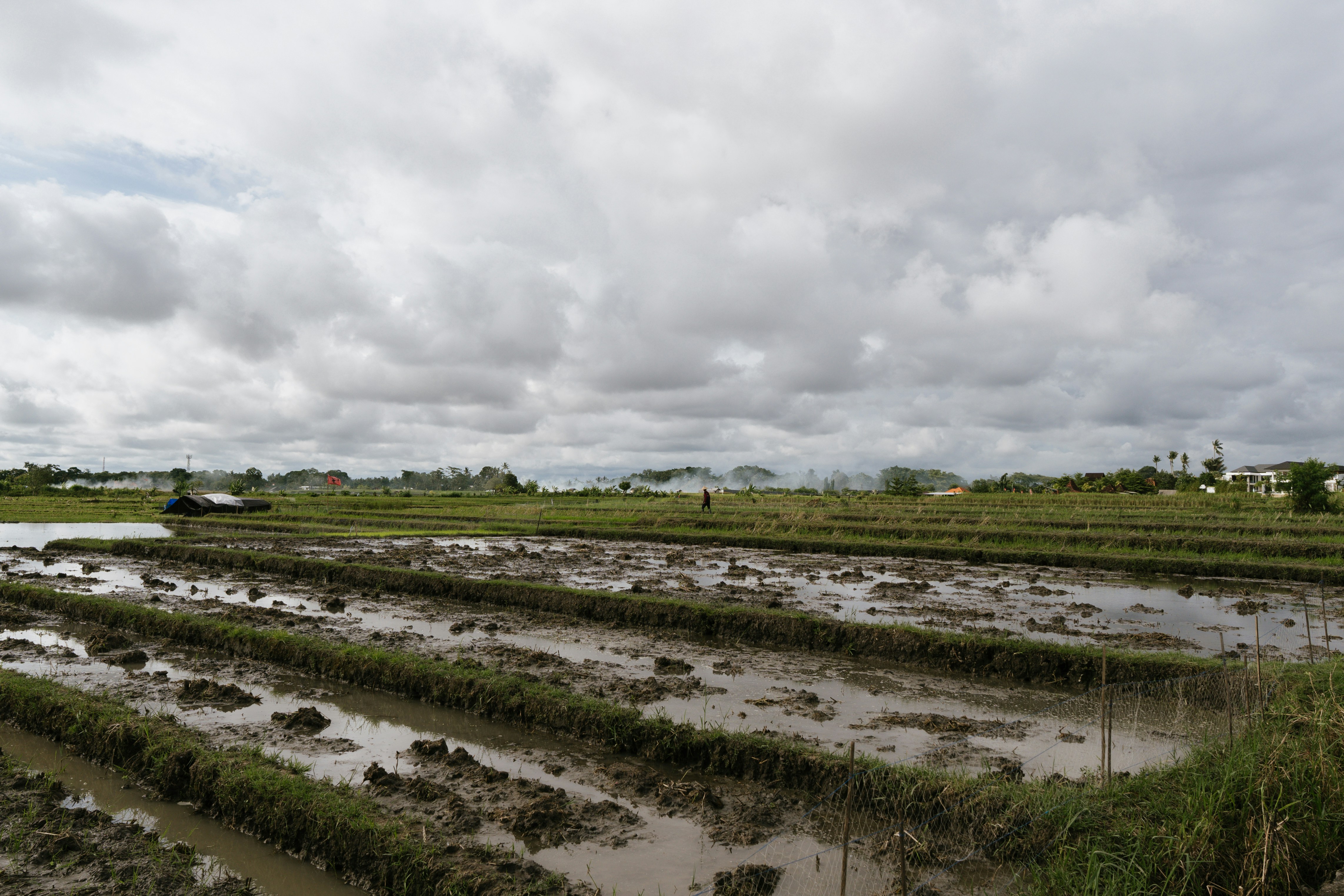 A muddy field with lots of water in it