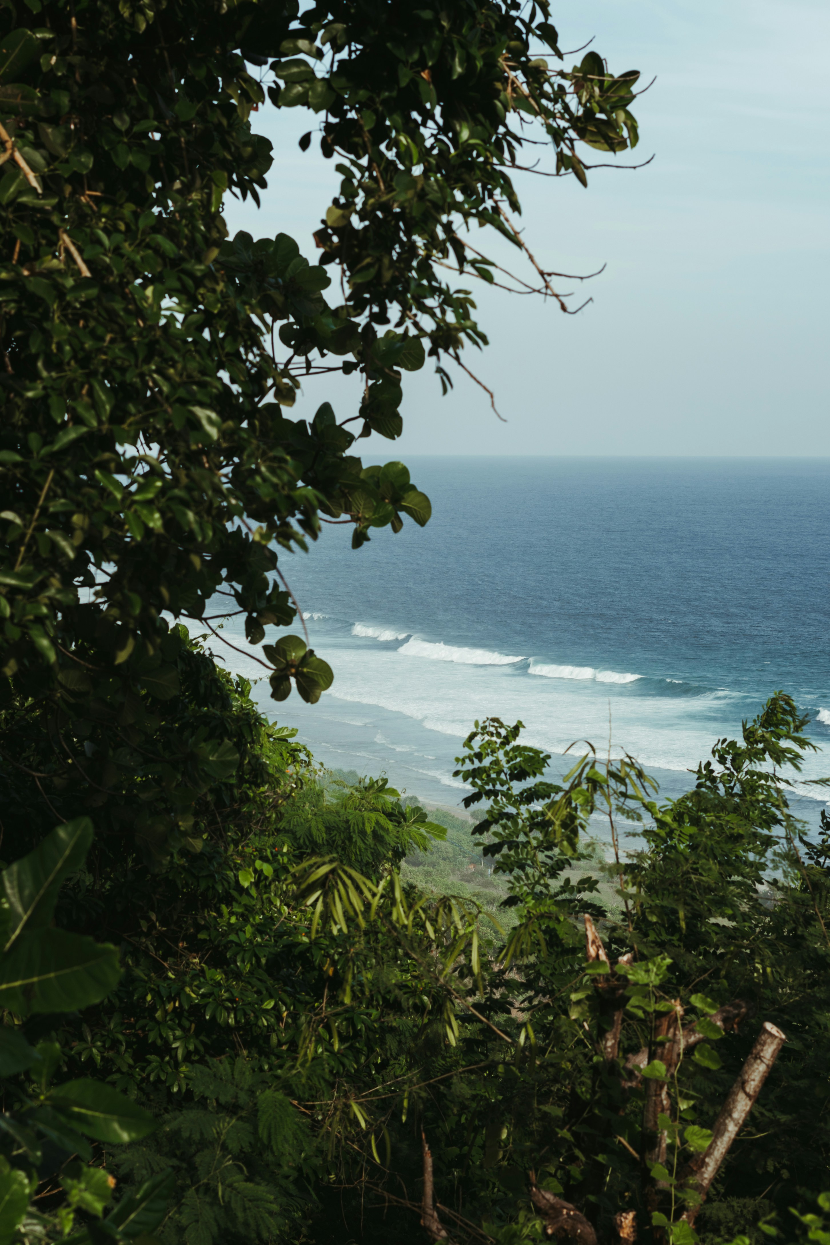 Photo by p_kuzovkova