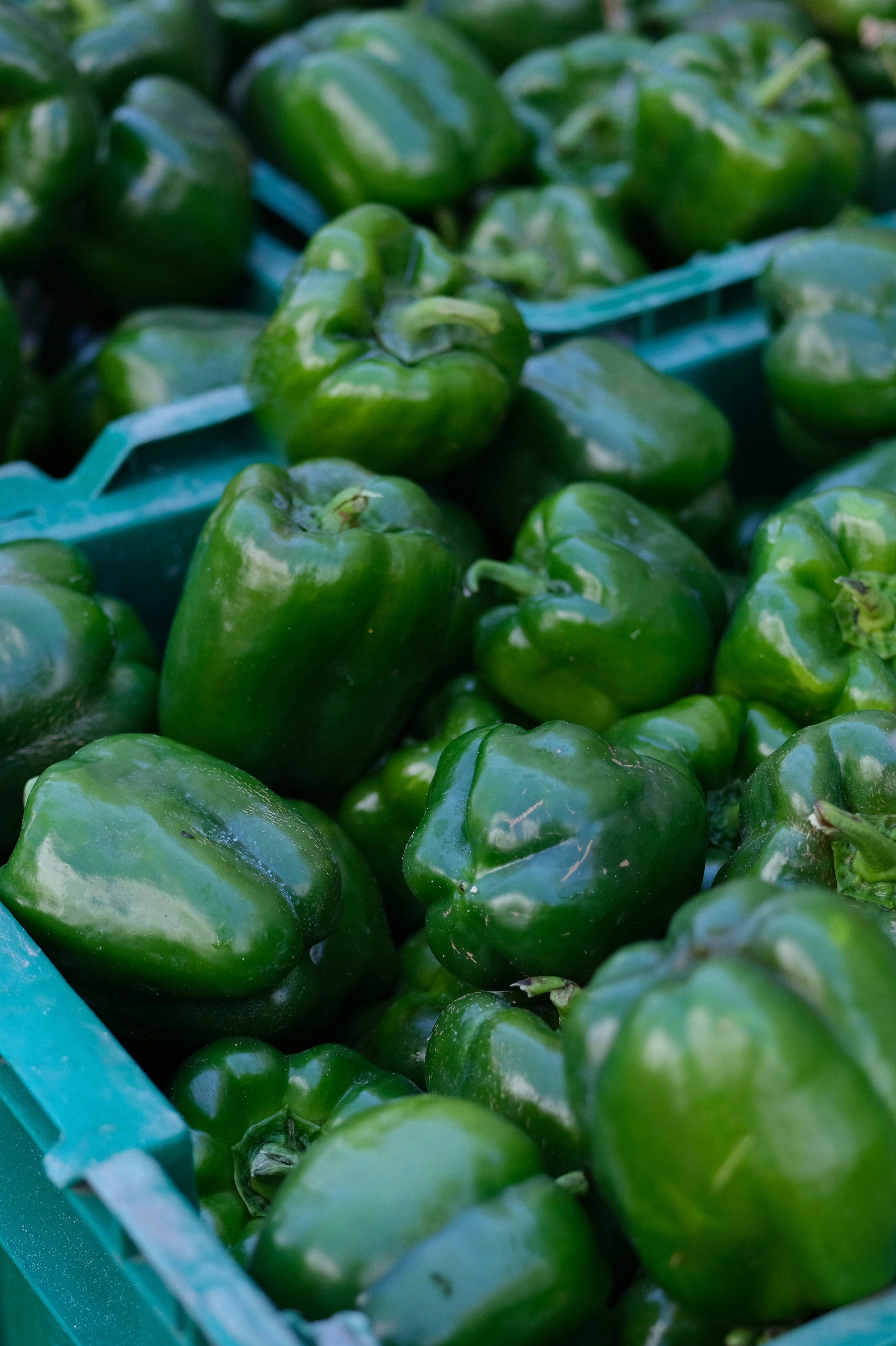 A bunch of green peppers in a box