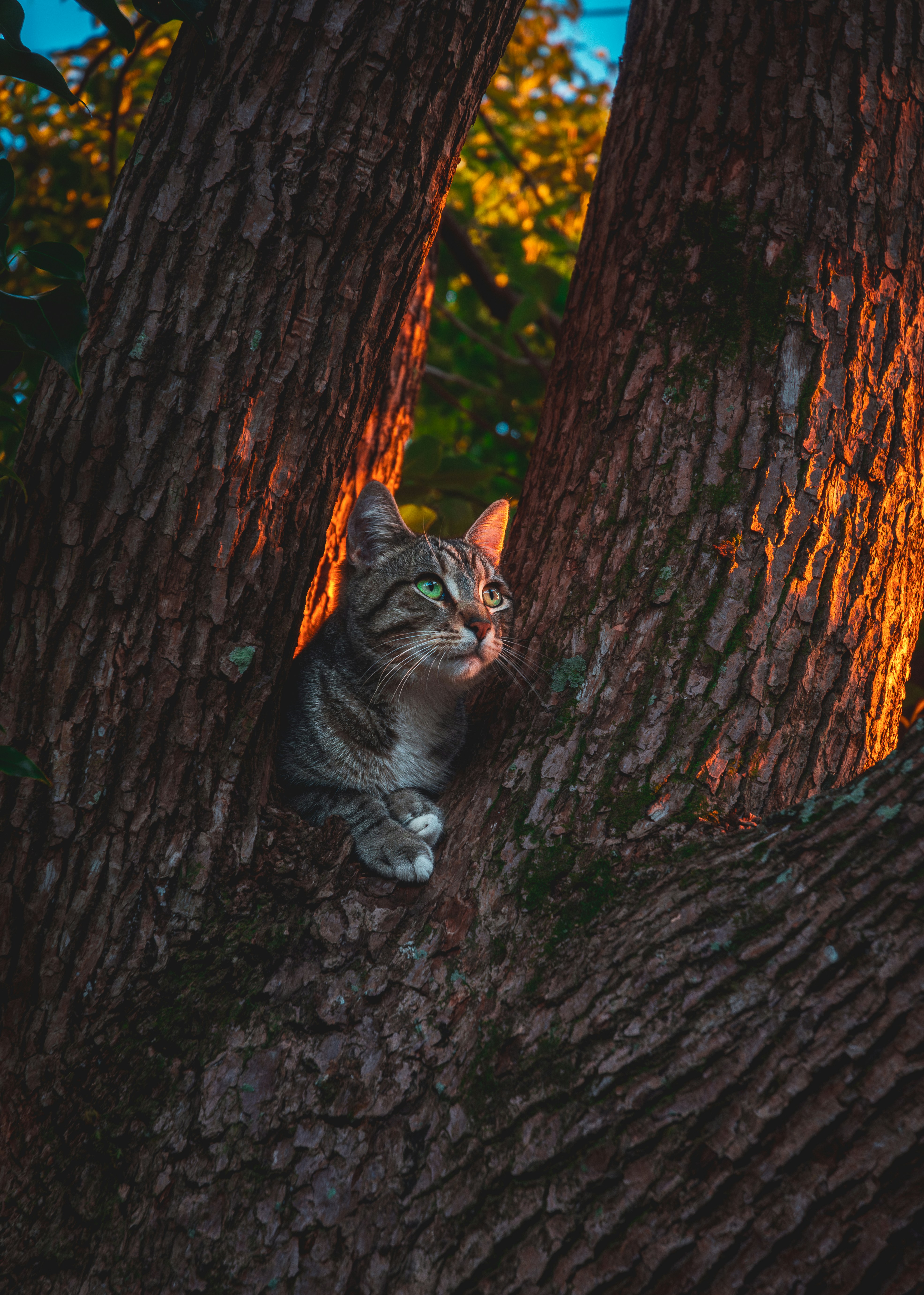 Photo by mhgfxdesign