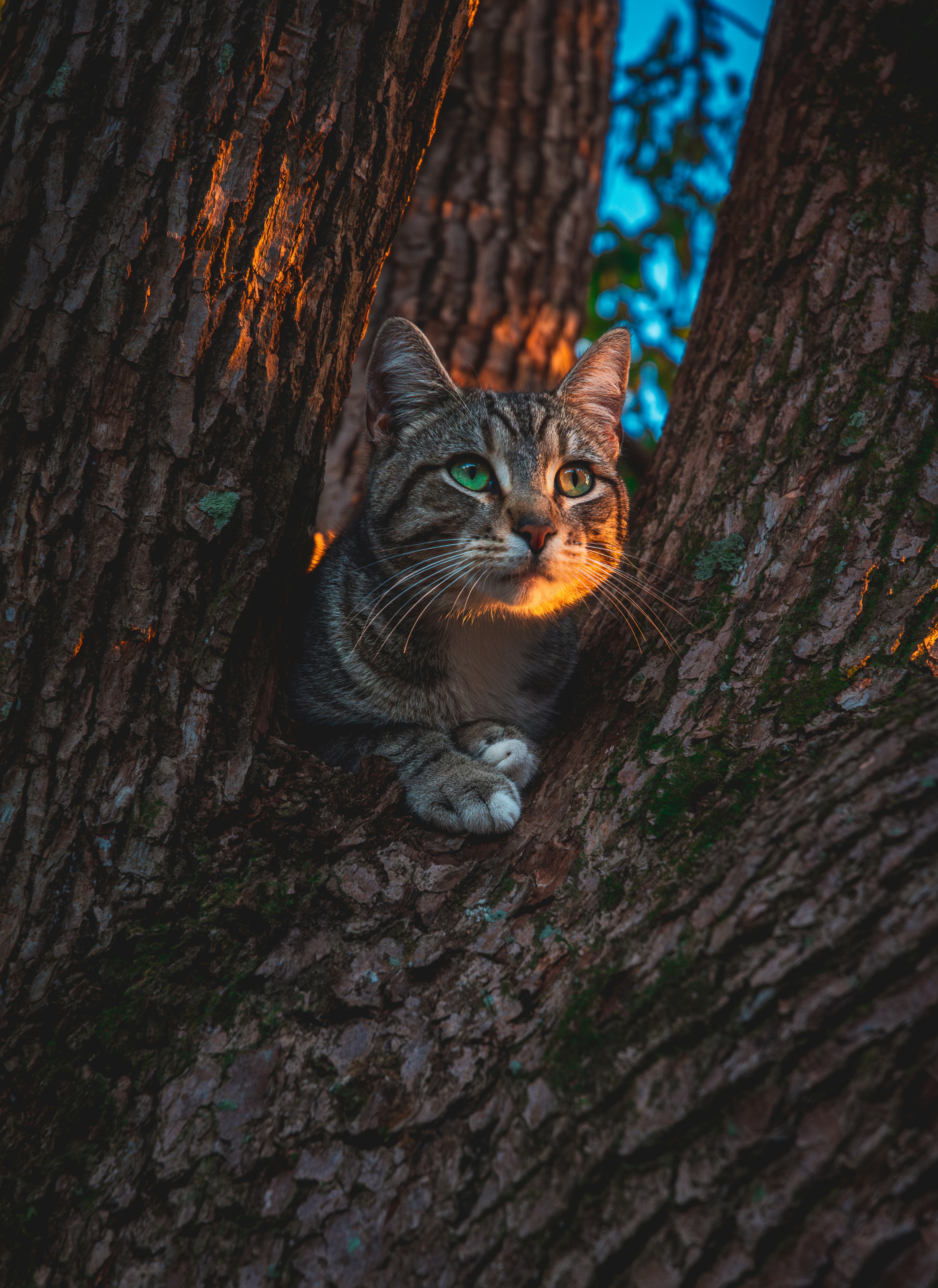 Photo by mhgfxdesign