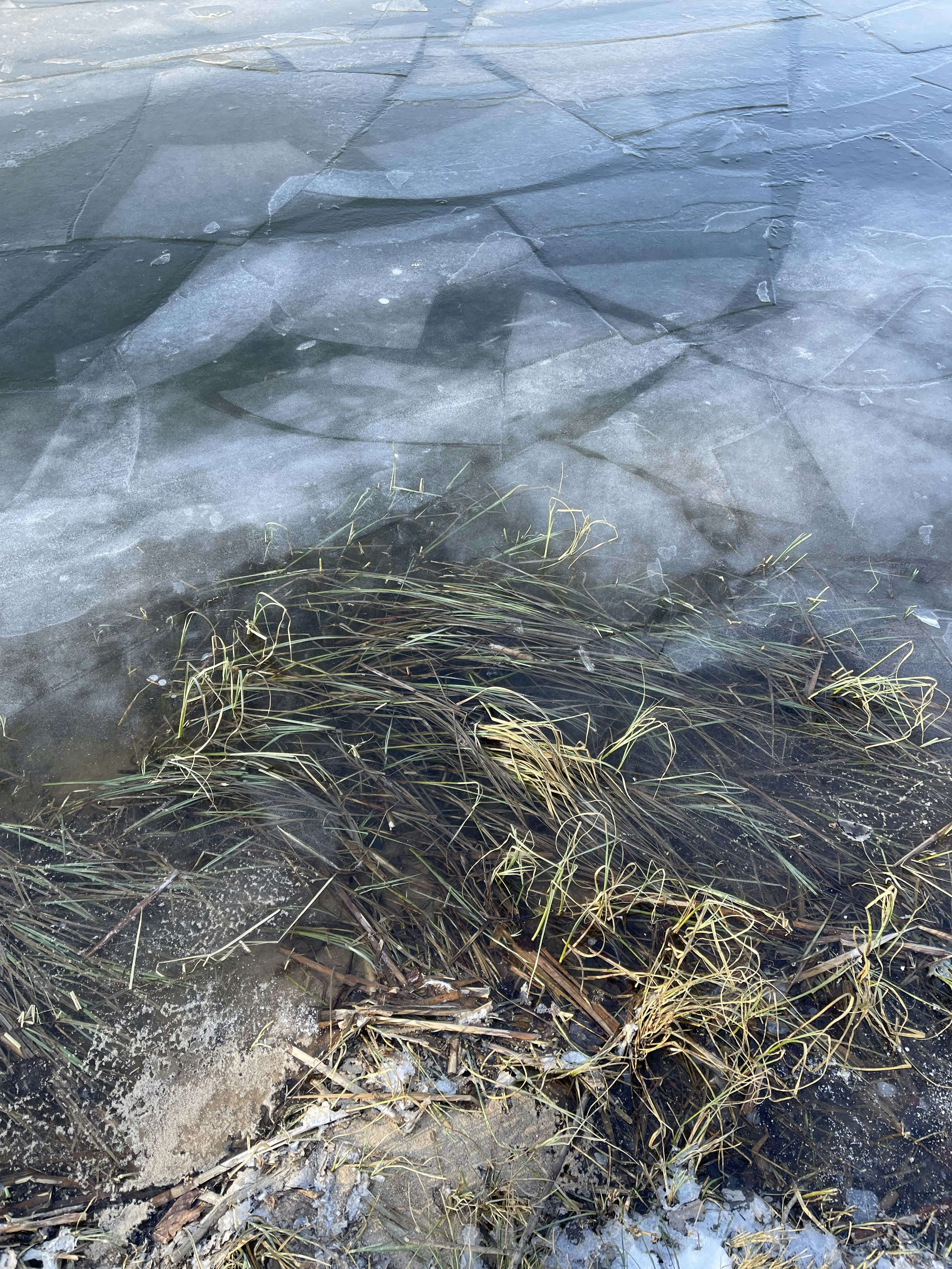 Photo by inna_lobacheva