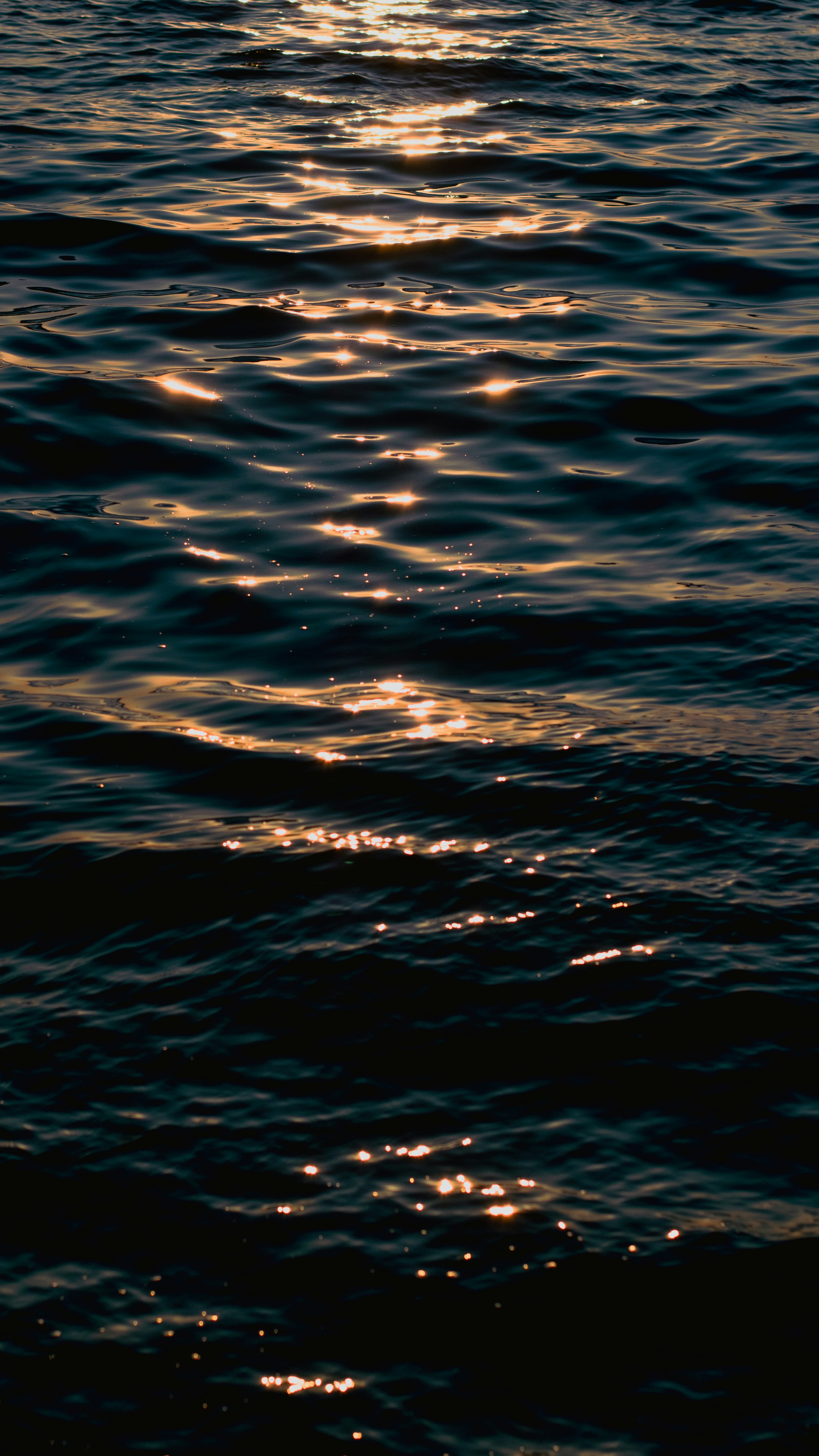 Photo by ilostmyselfout