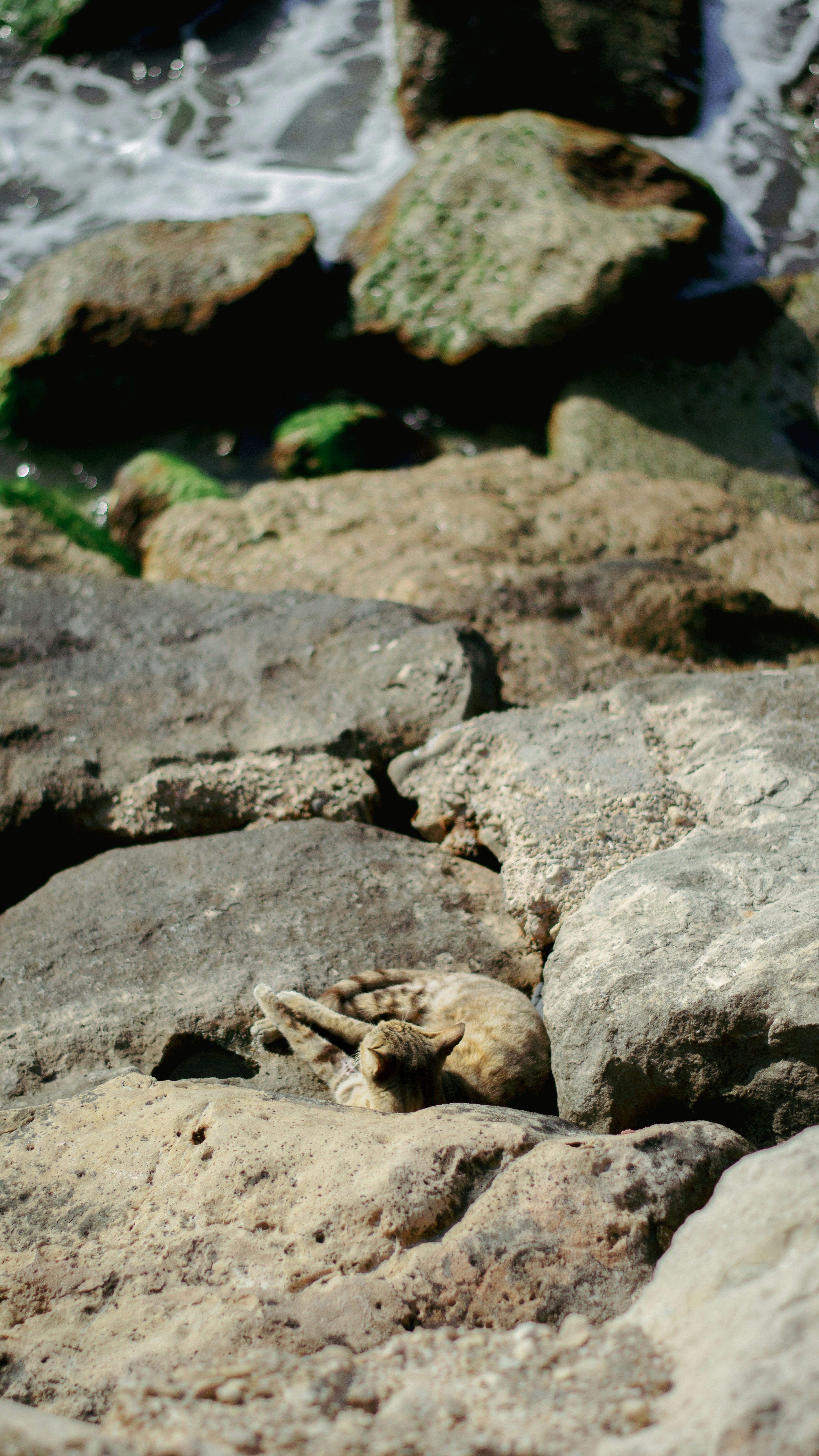 Photo by ilostmyselfout