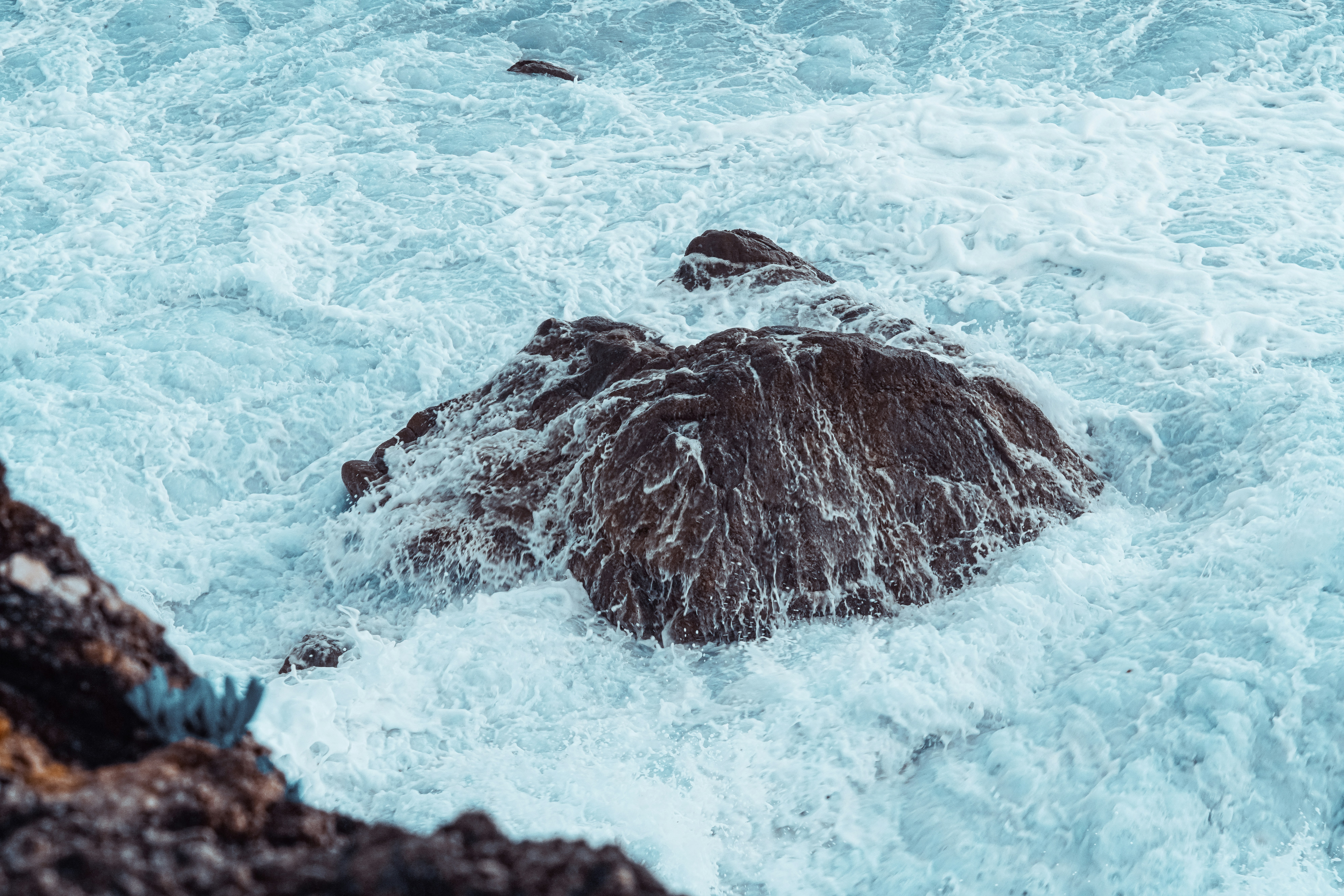 Photo by paulcaillot