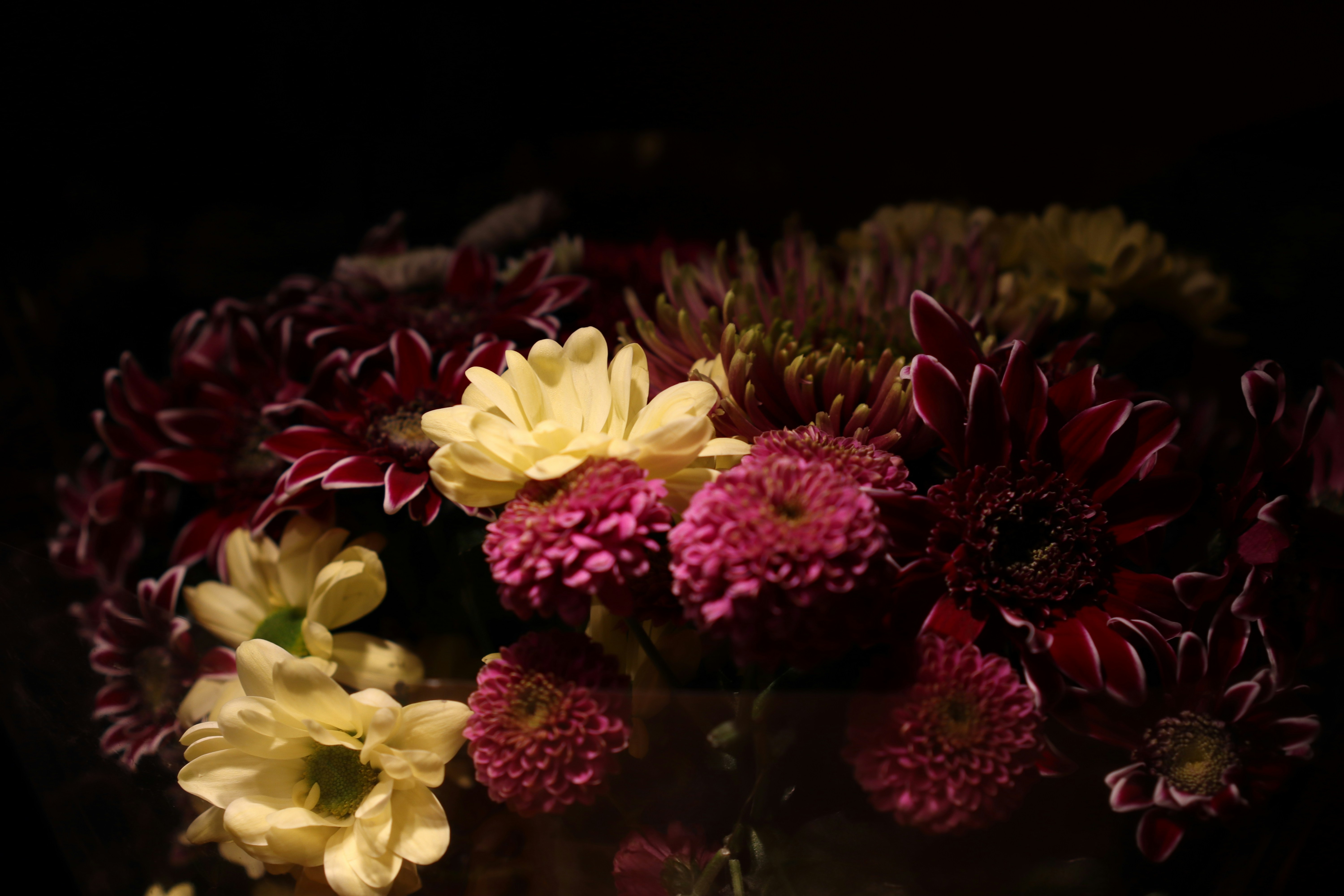 Tips to Make a Girl Fall for You