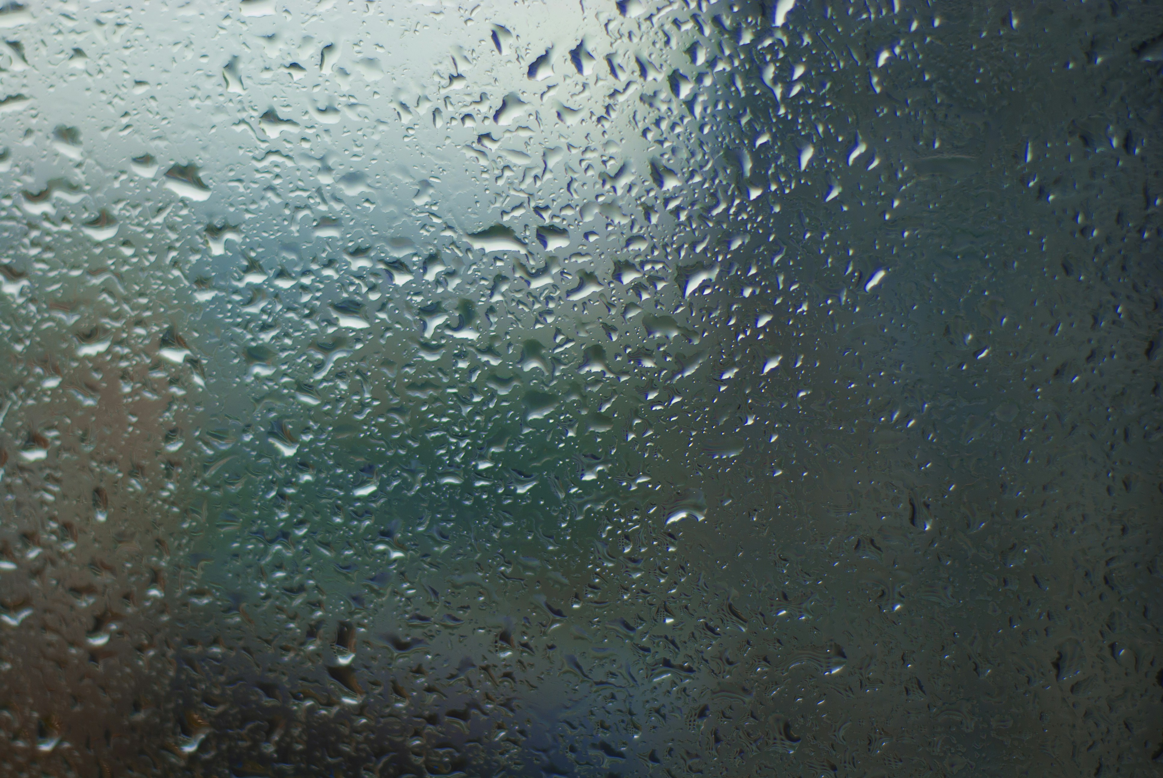 Photo by kovalskihelga
