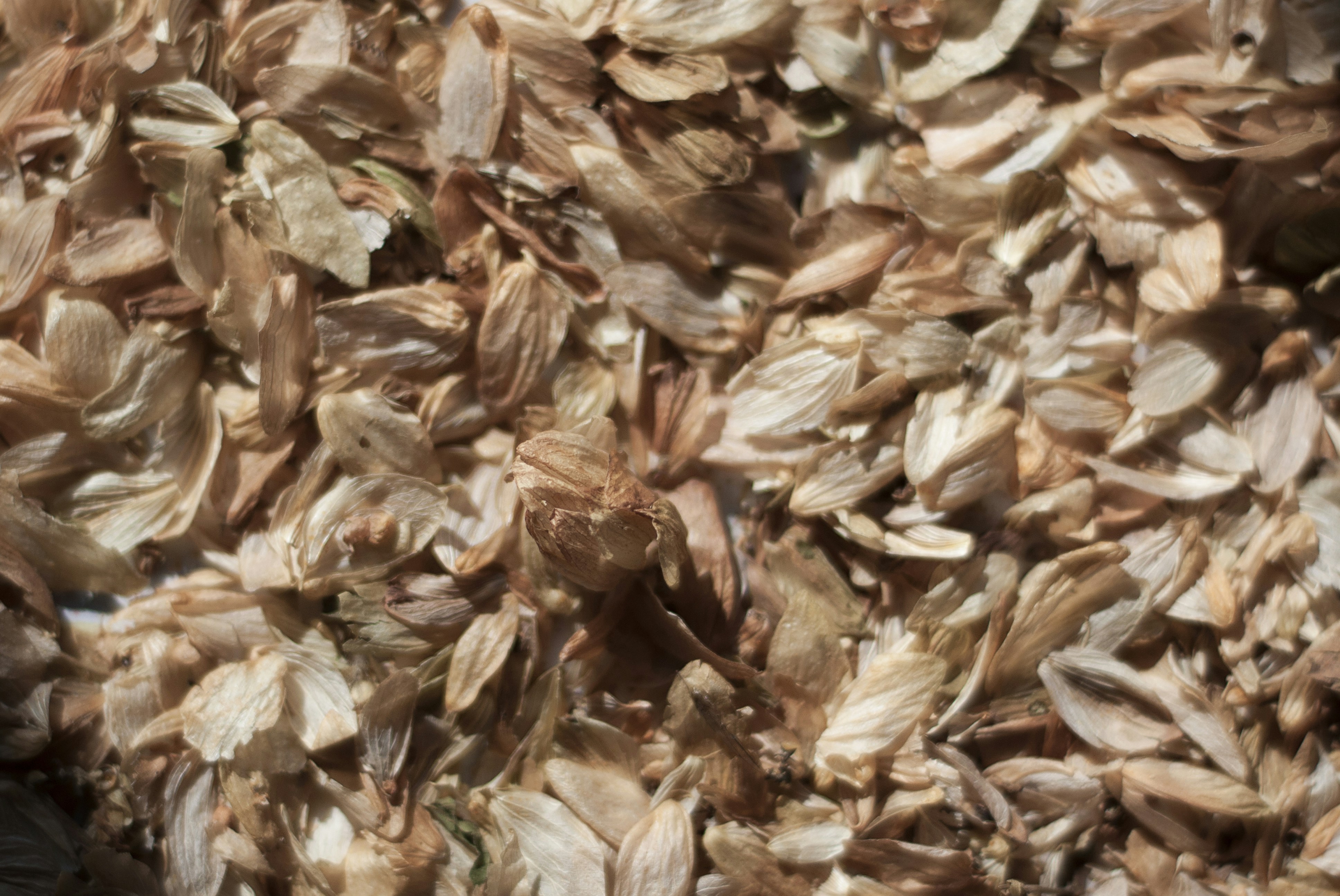 Photo by kovalskihelga