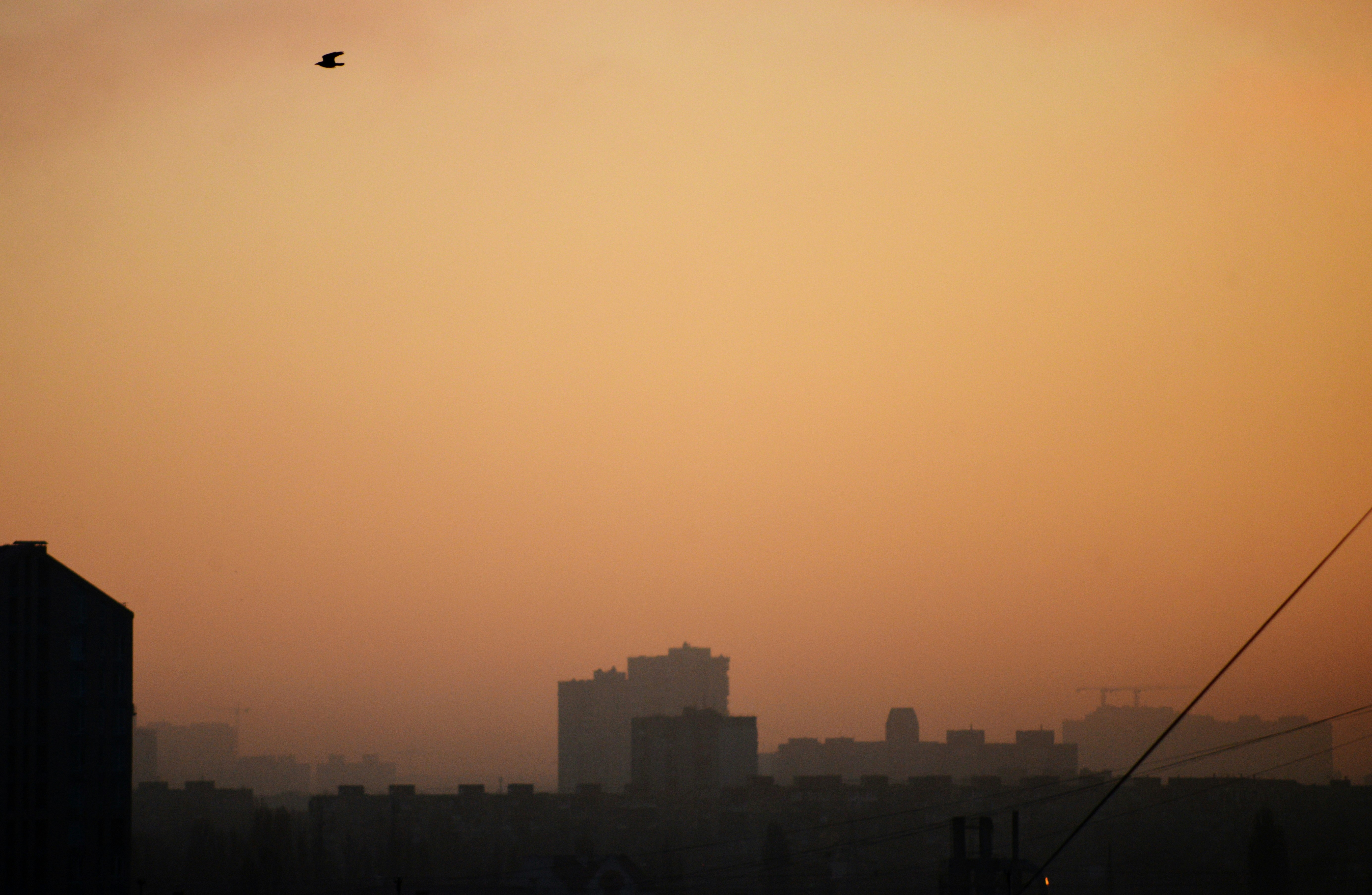 Photo by cherstve_pechivo