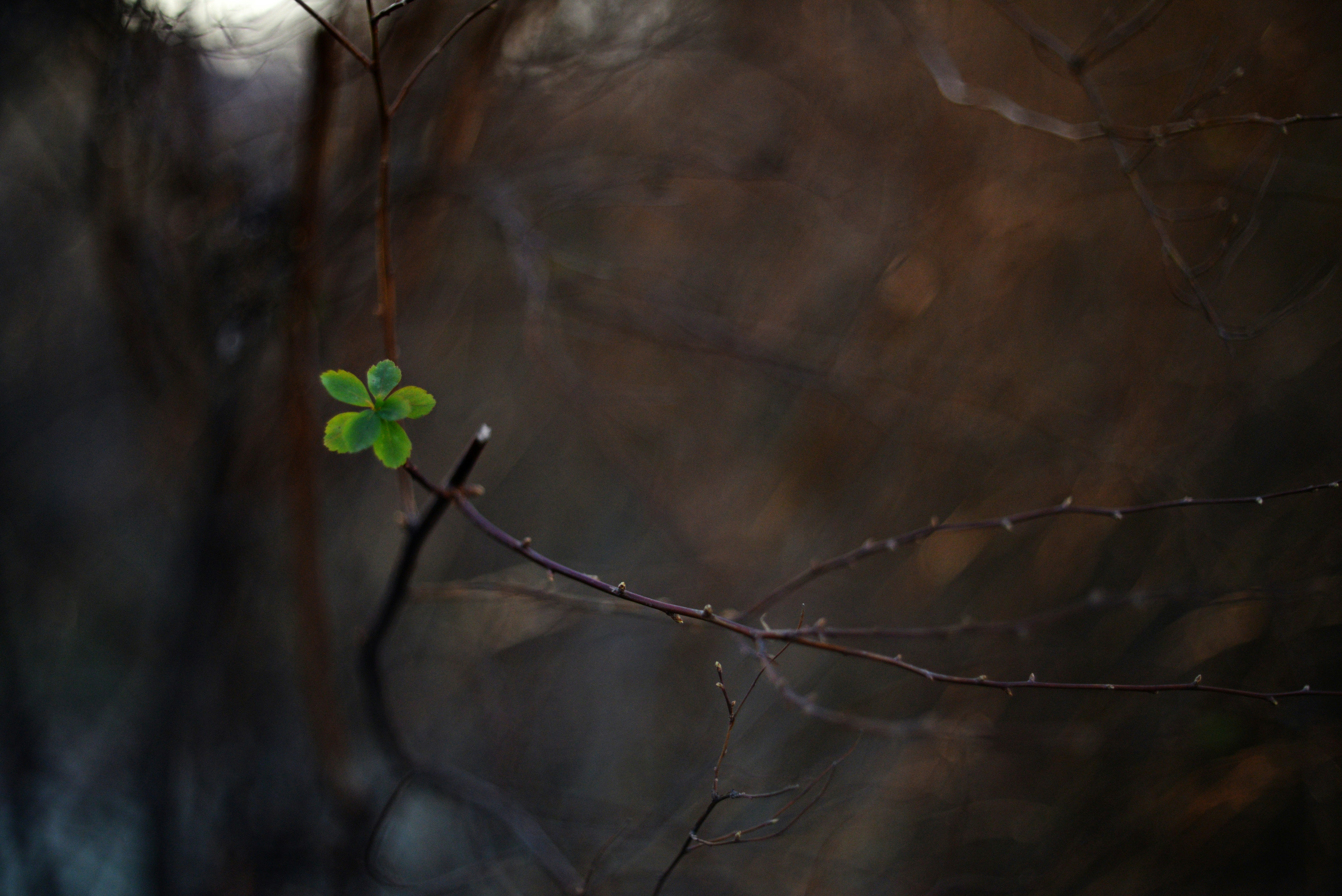 Photo by cherstve_pechivo