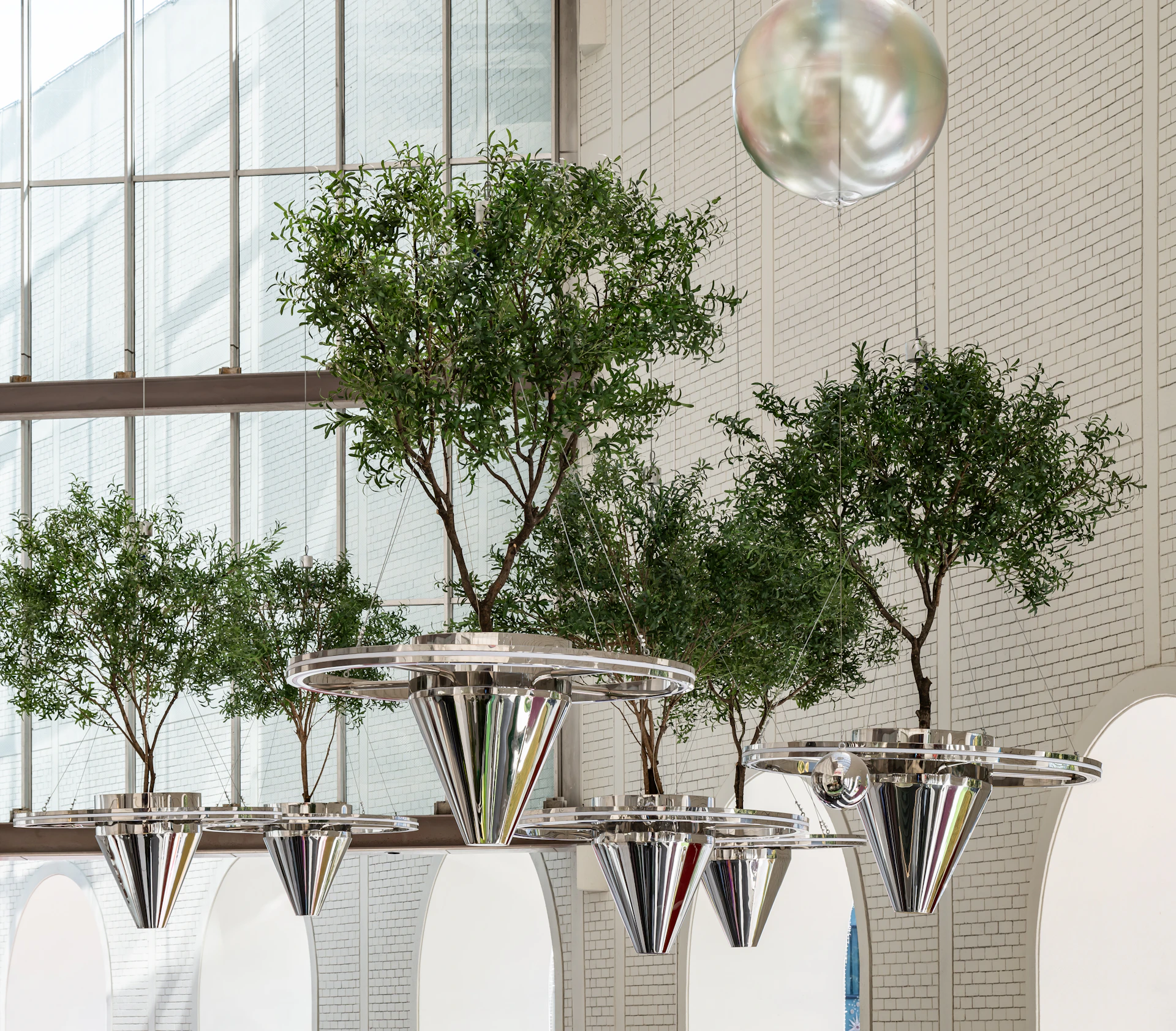 A group of vases with trees in them