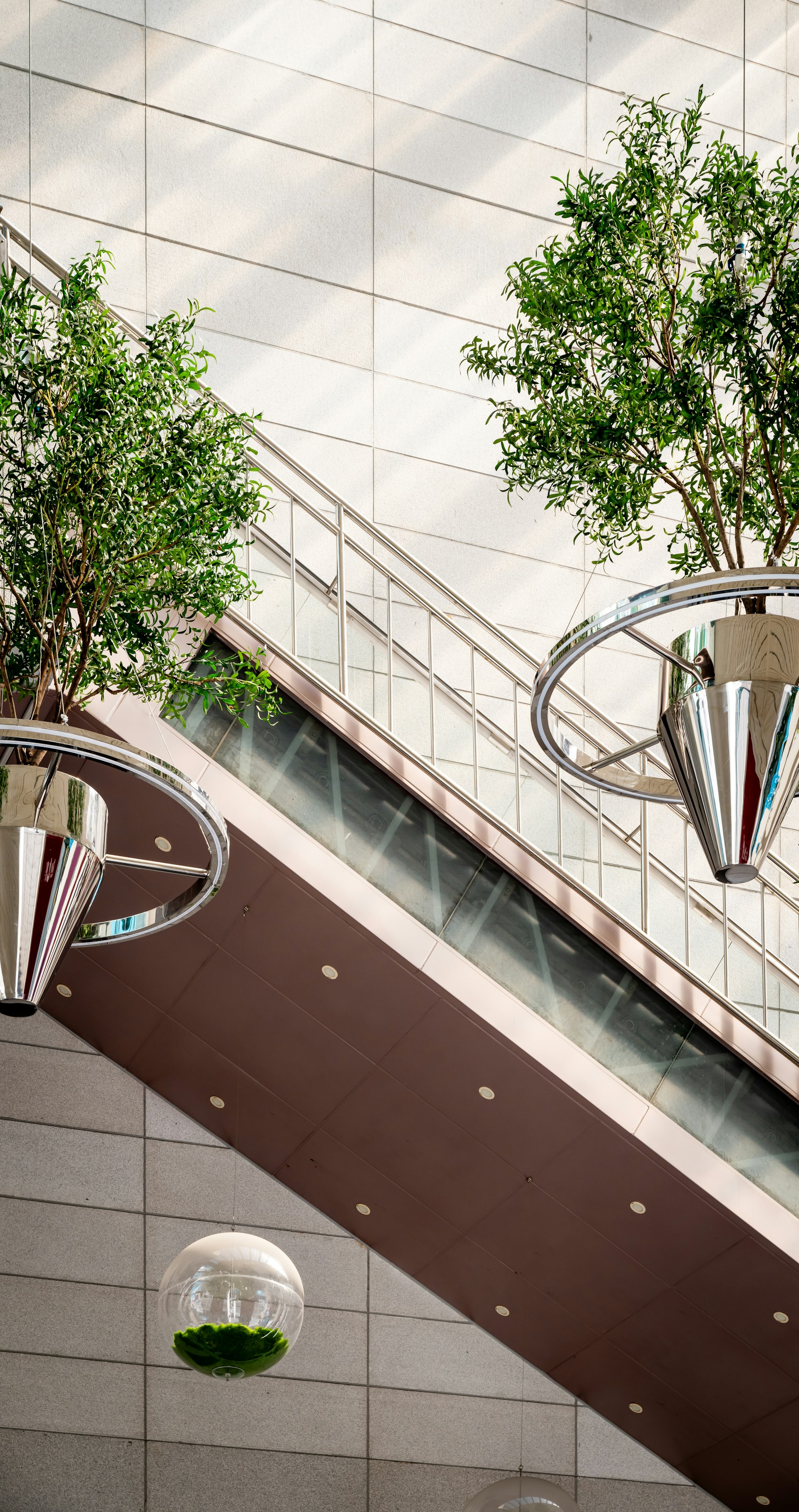 An escalator with a tree in the middle of it