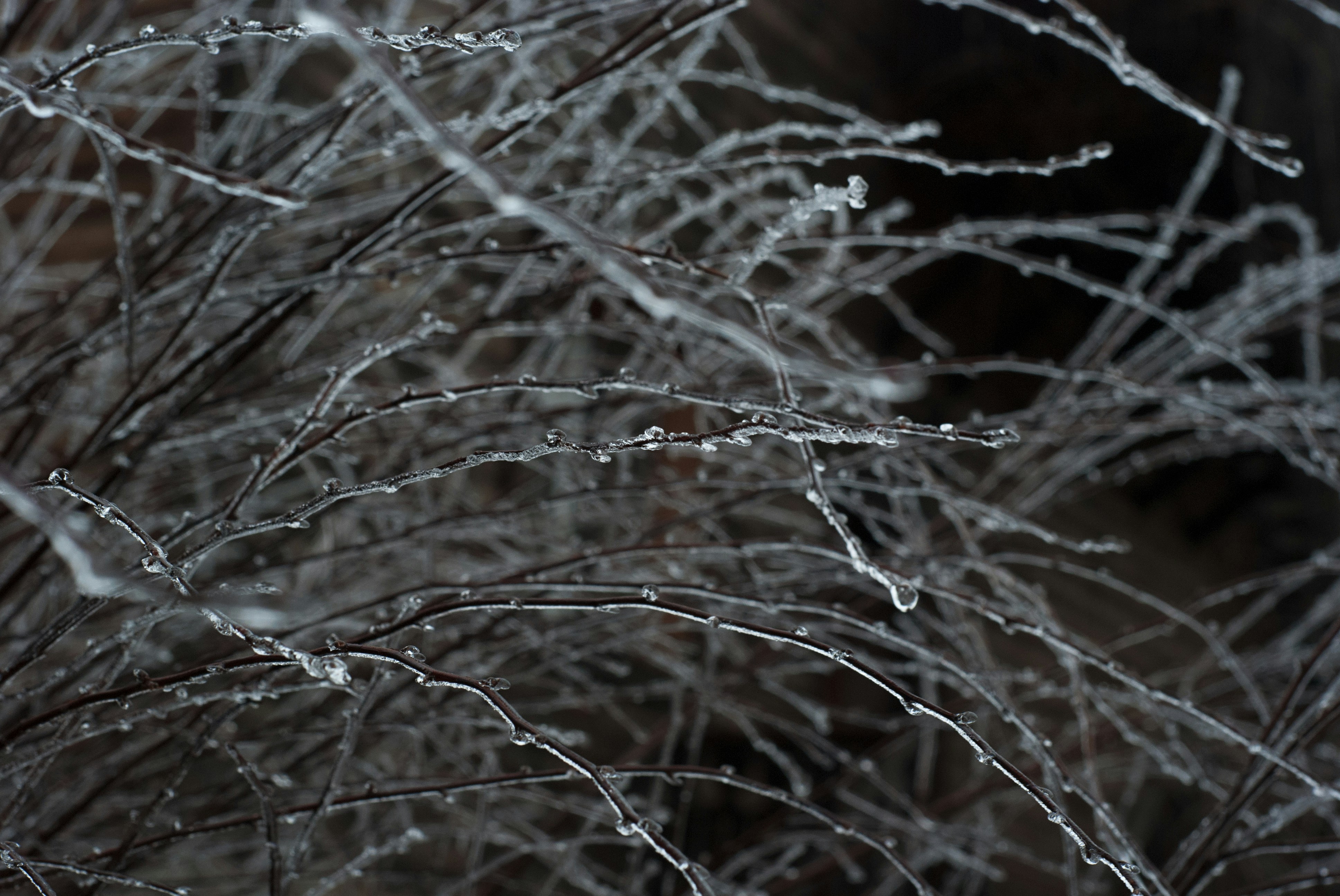 Photo by kovalskihelga