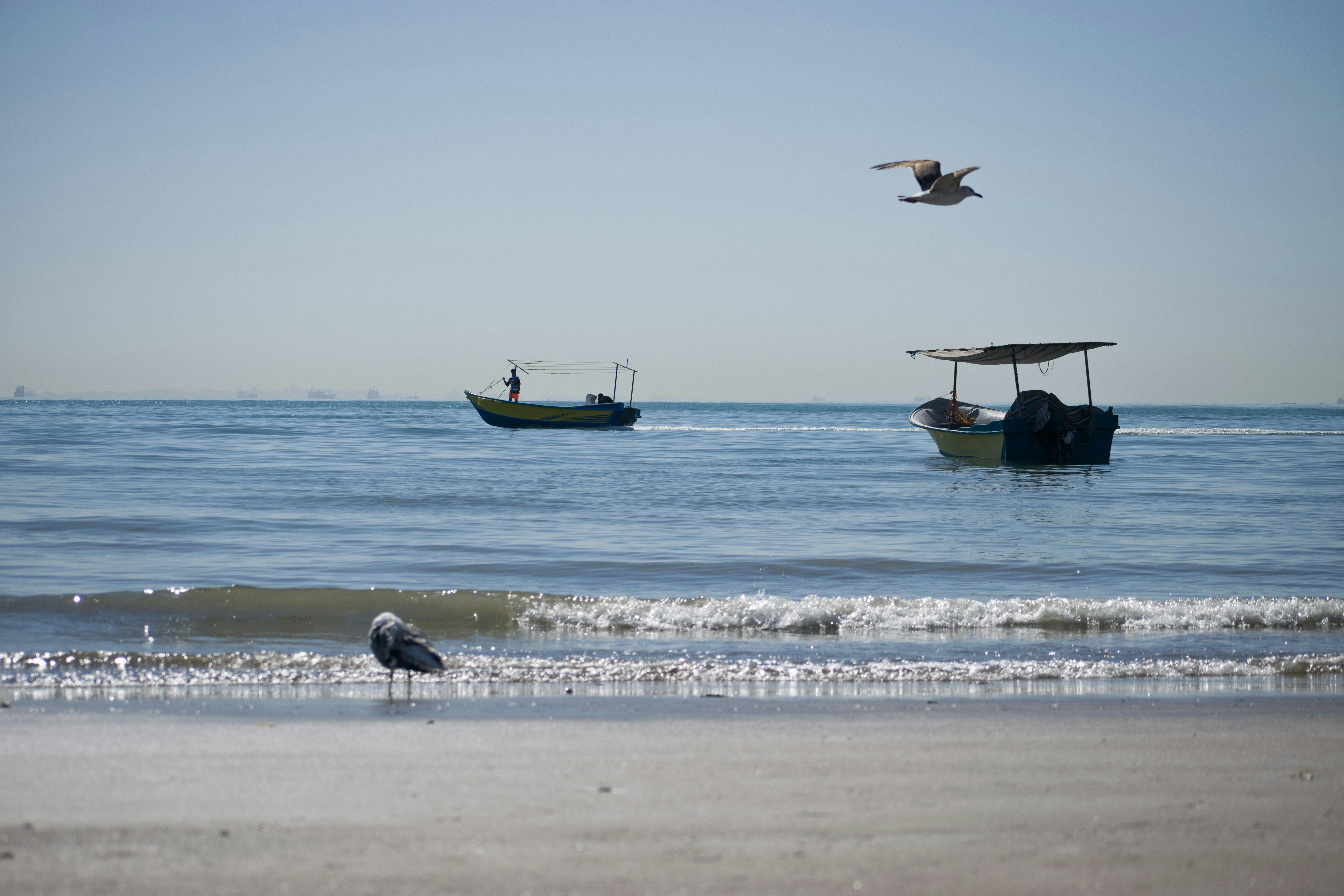 Photo by shirinsaleki