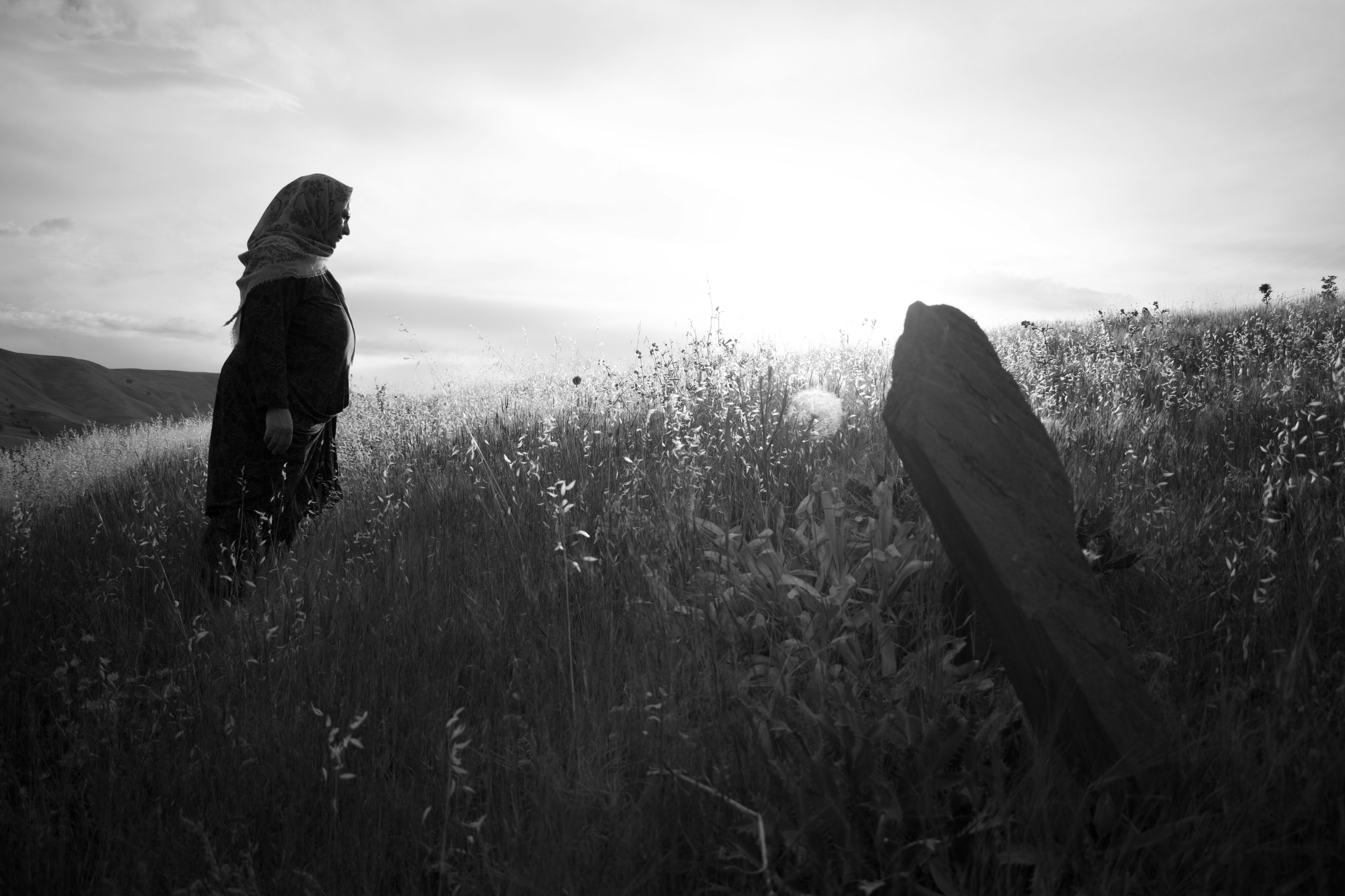 Photo by shirinsaleki