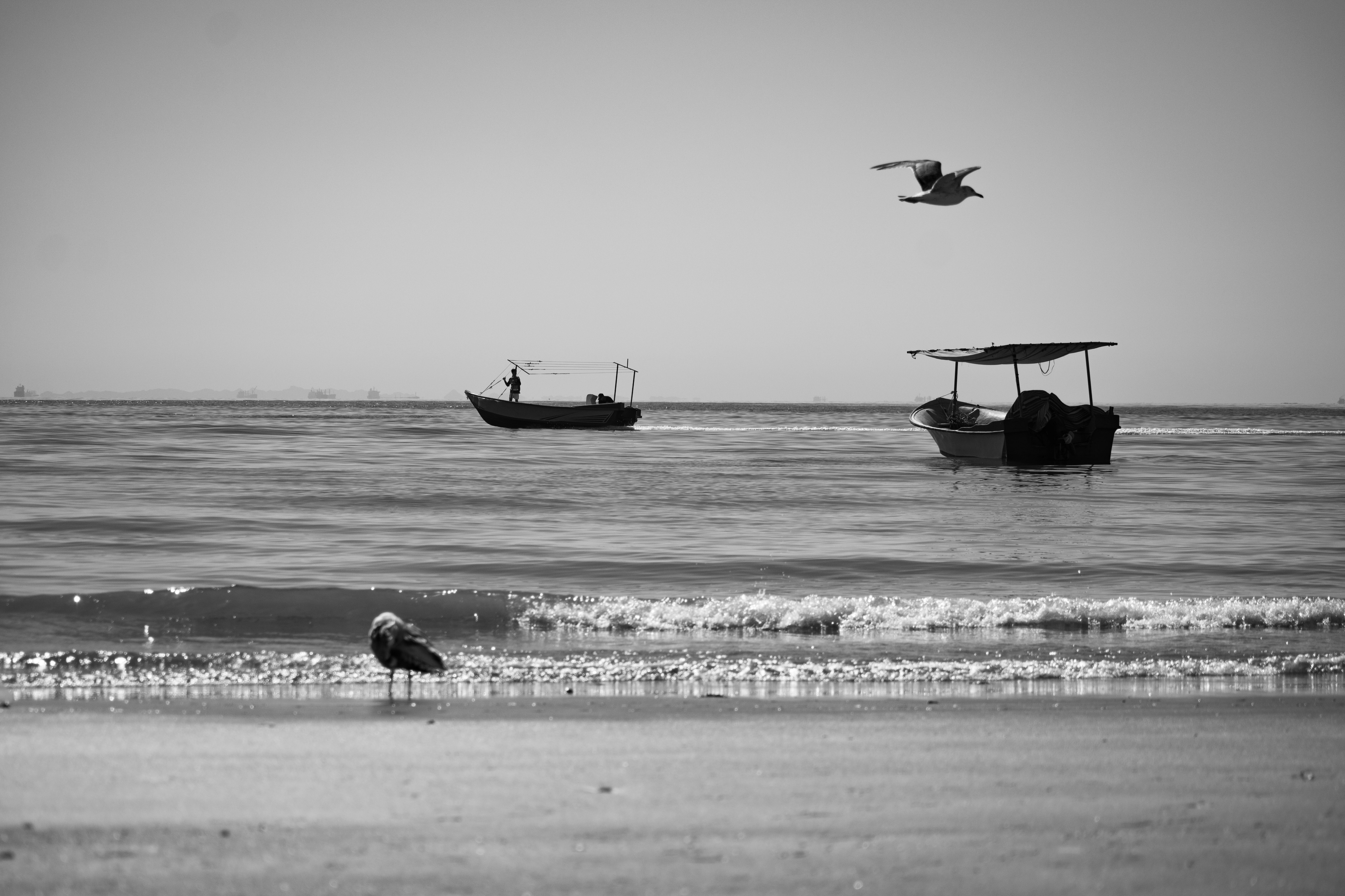 Photo by shirinsaleki