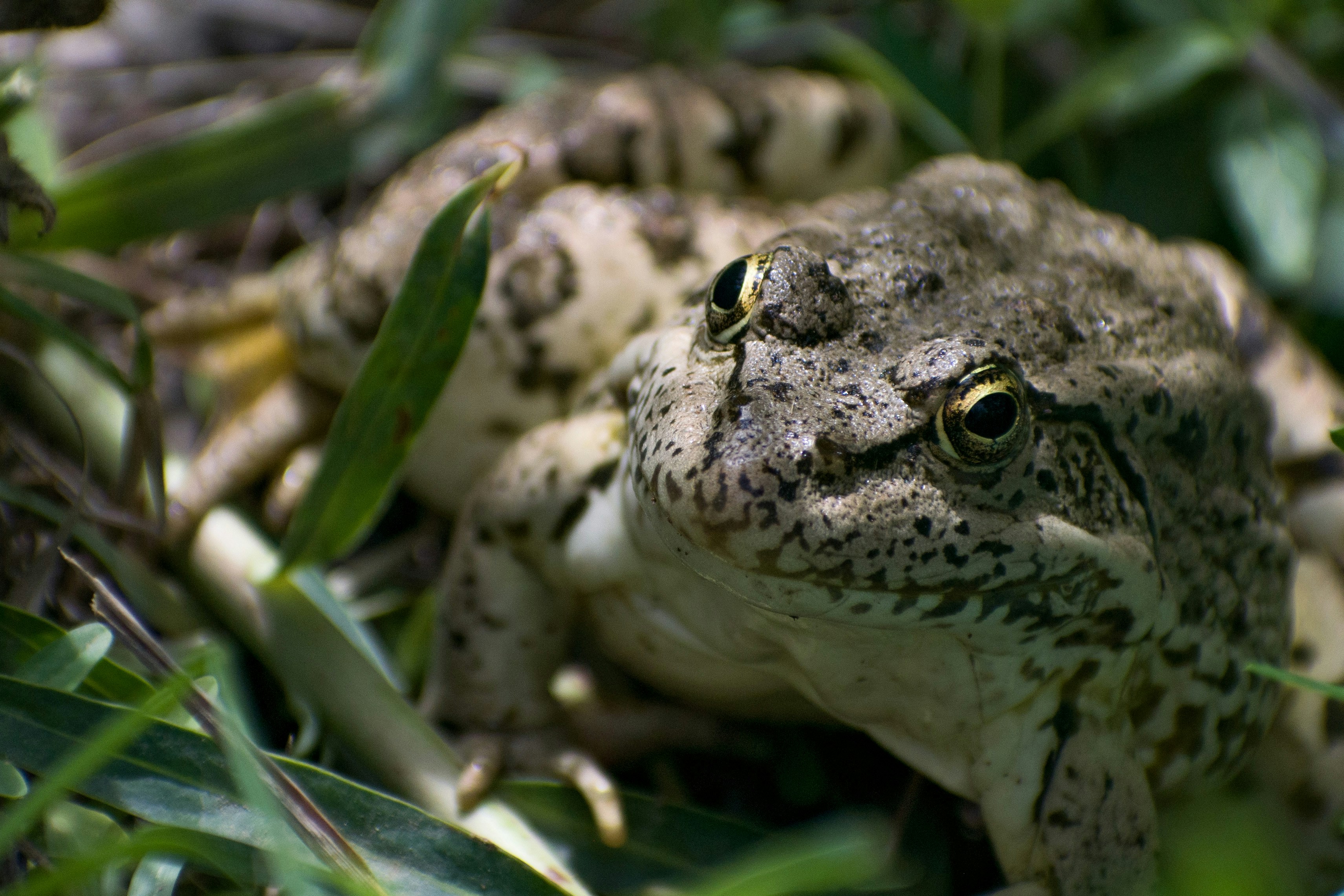 Photo by shirinsaleki