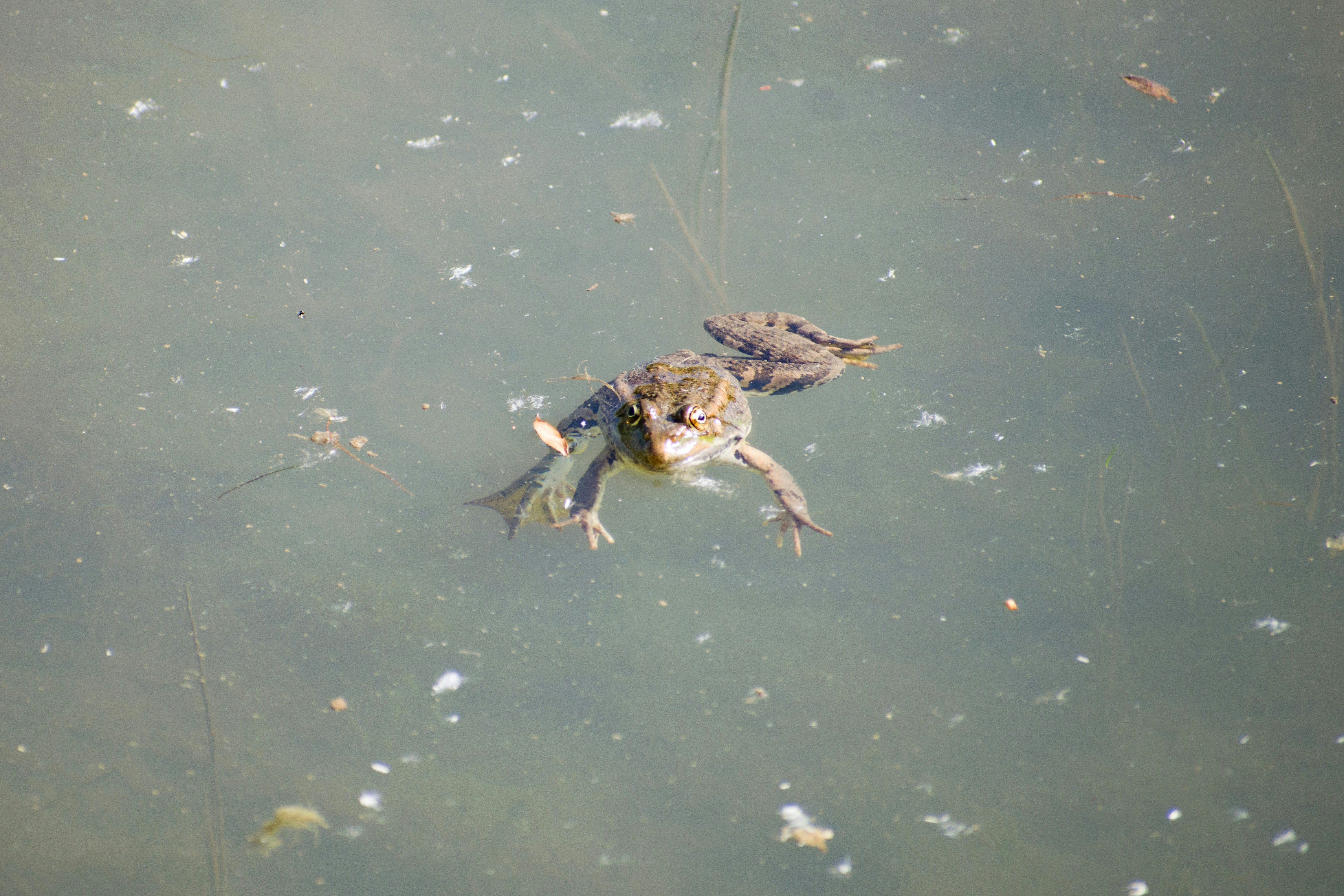 Photo by shirinsaleki