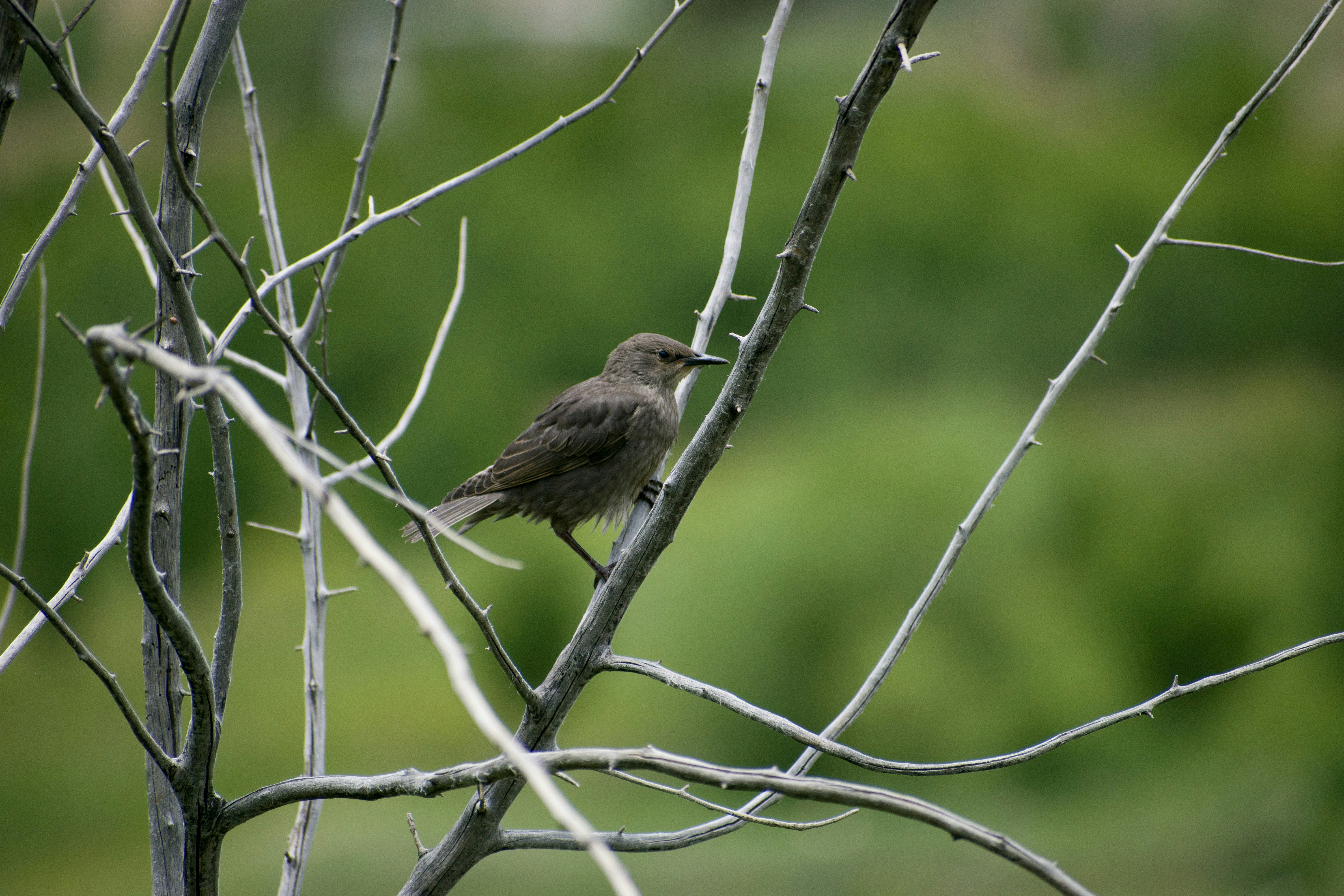 Photo by shirinsaleki