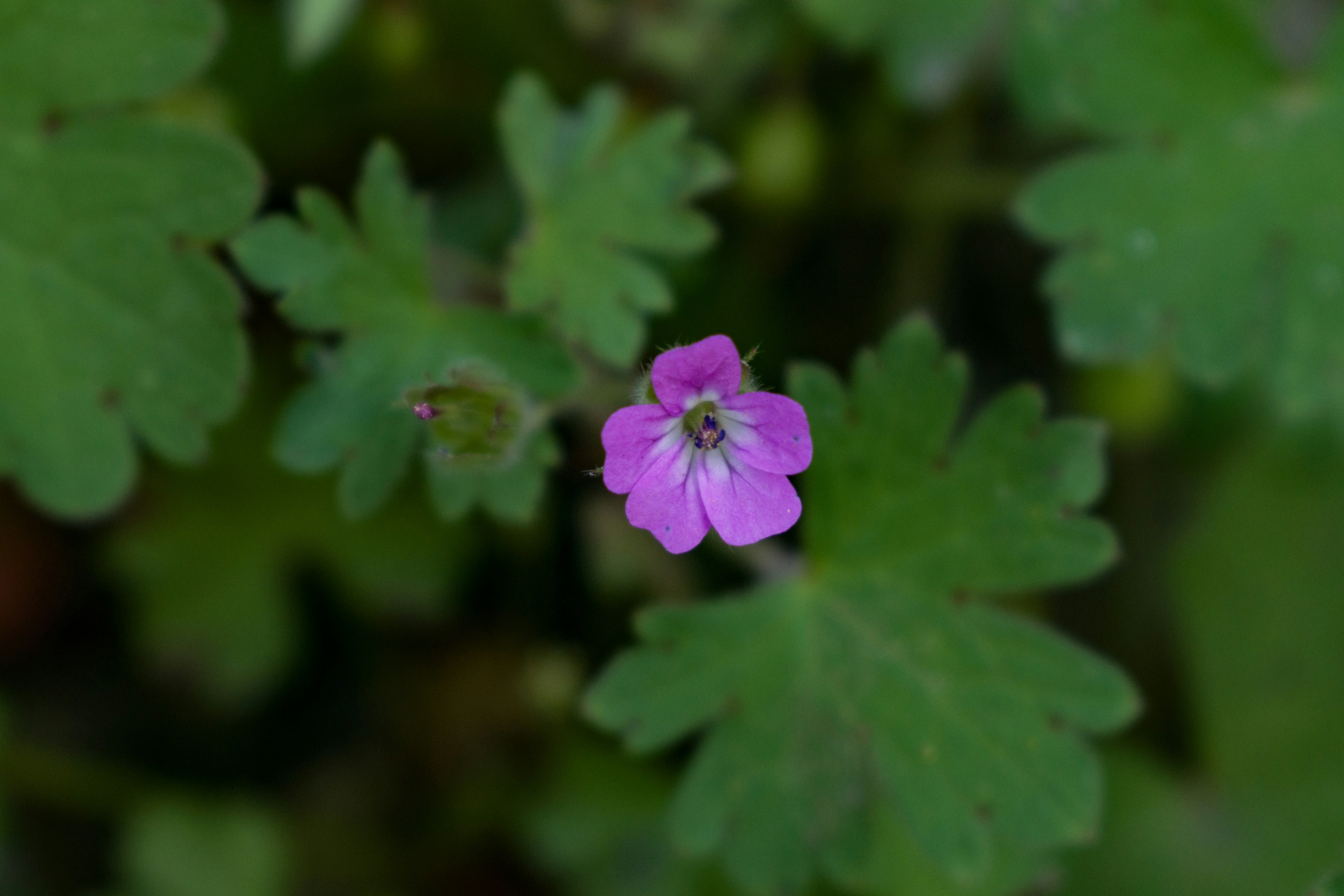 Photo by shirinsaleki