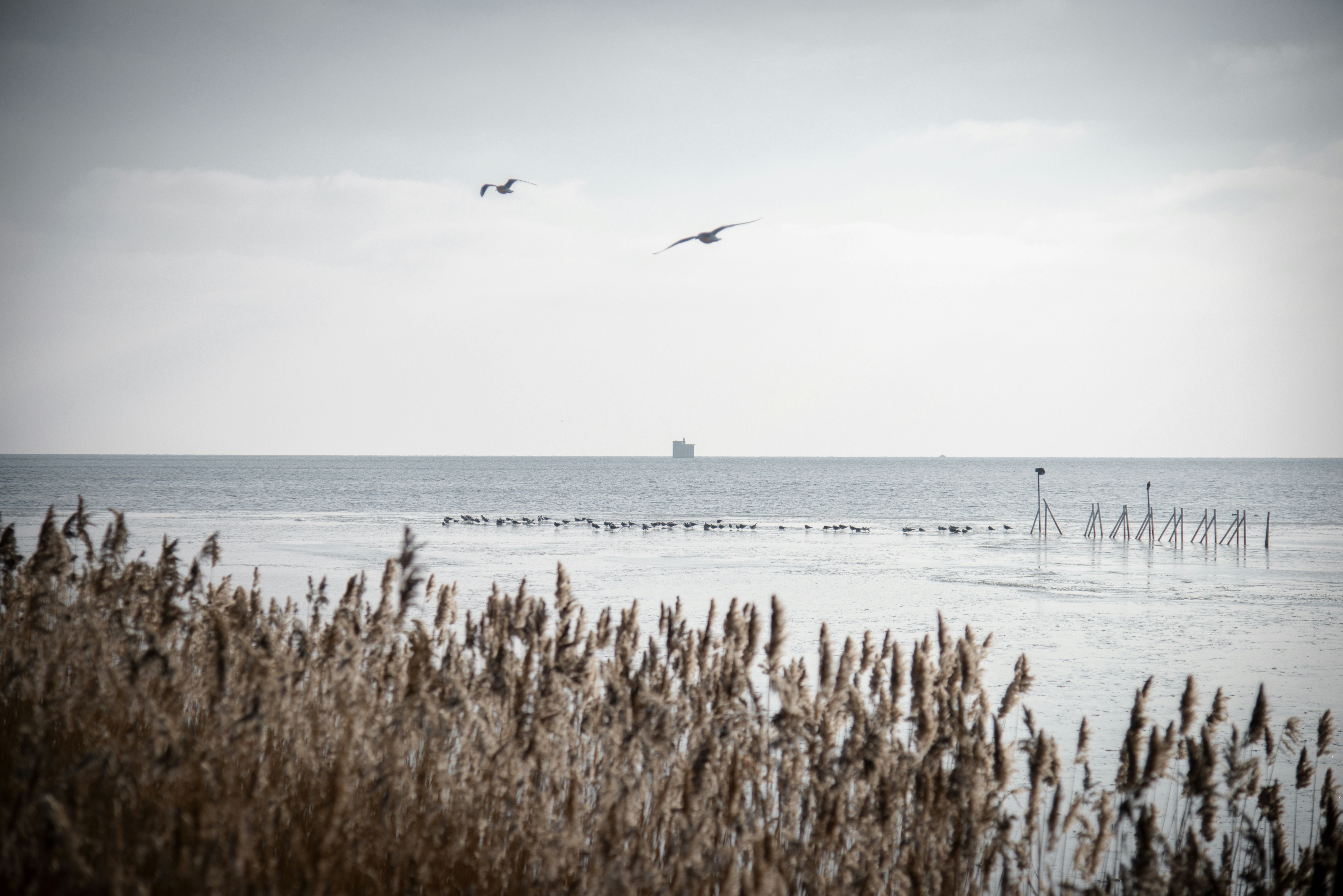 Photo by malwinanogaj