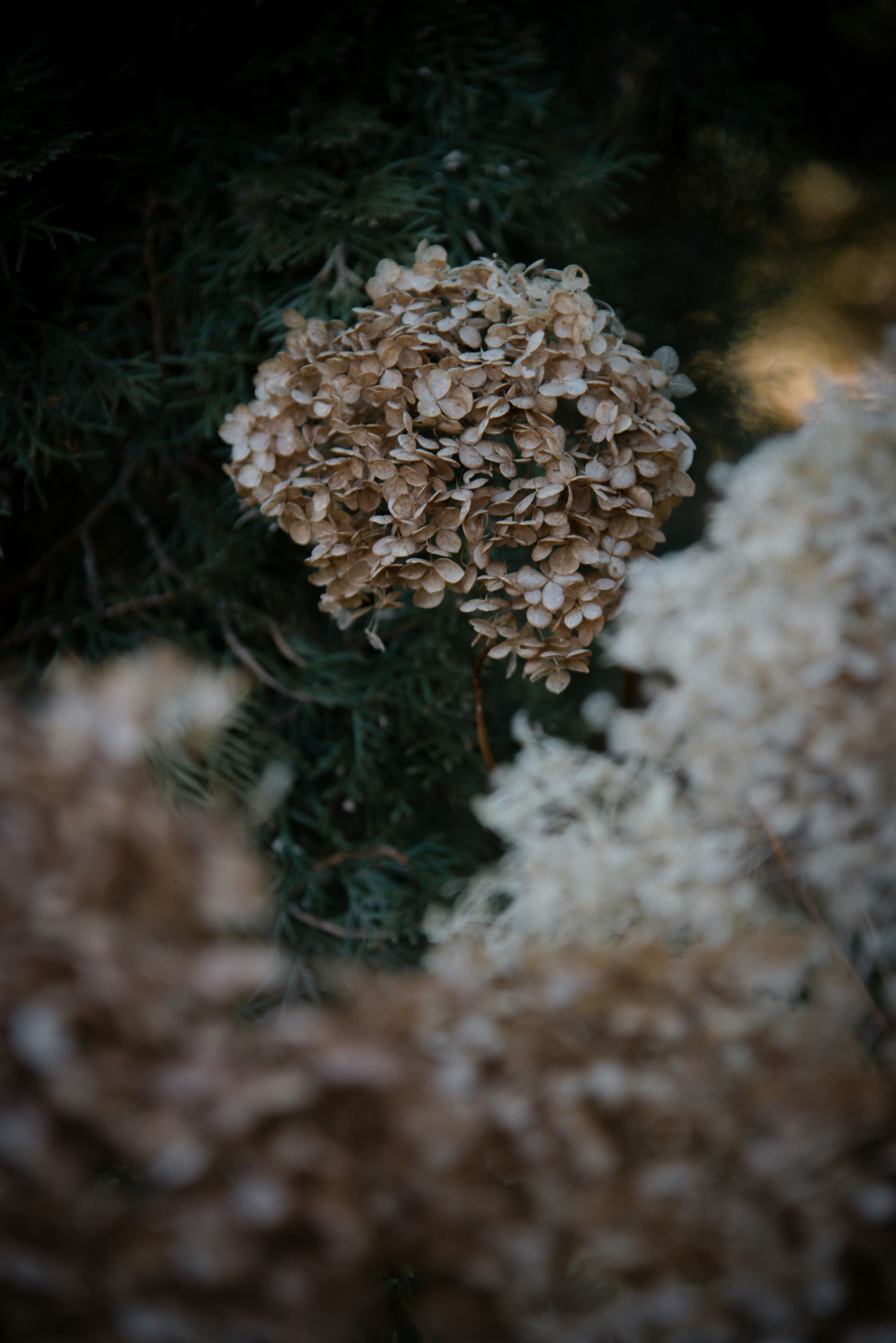 Photo by malwinanogaj