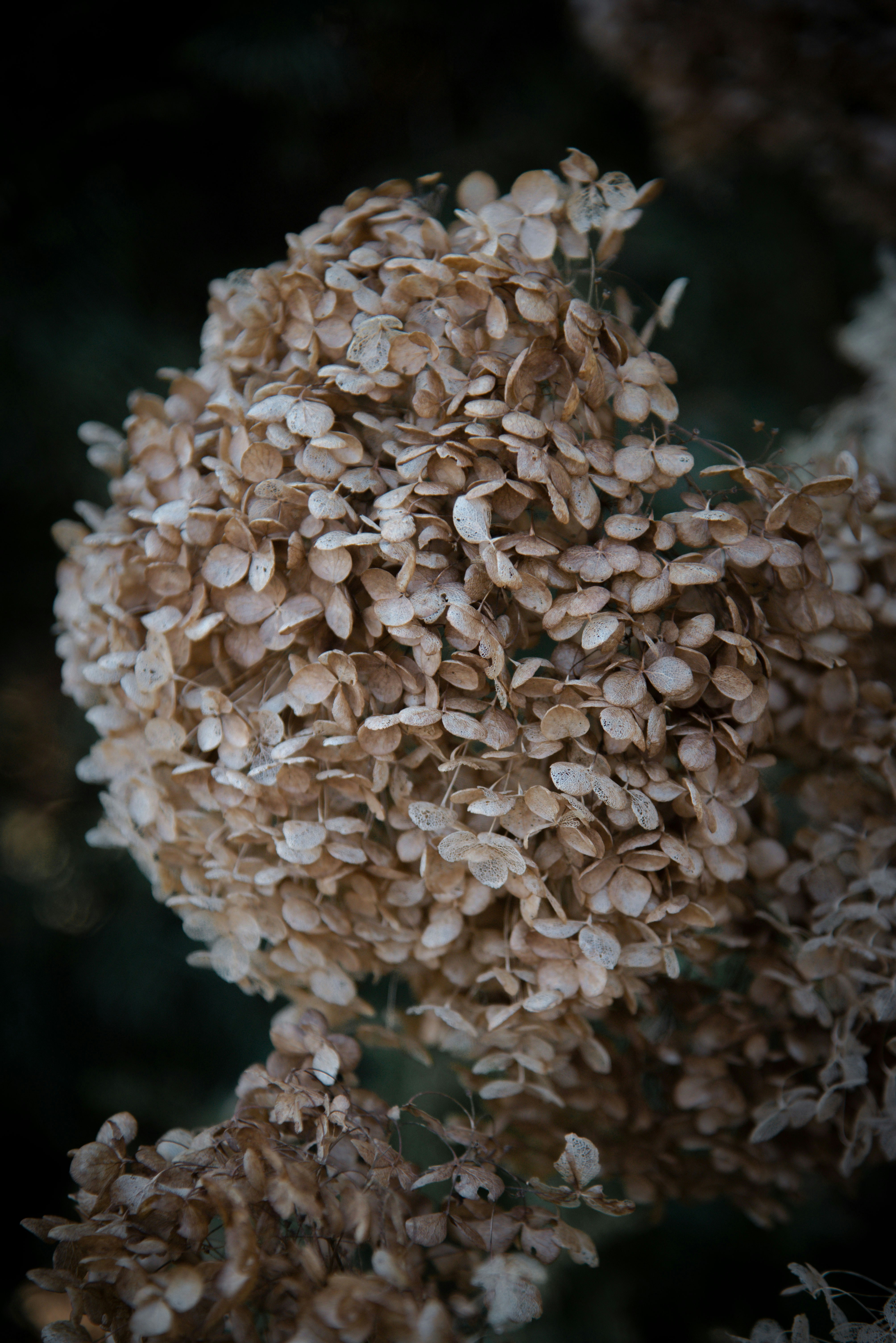 Photo by malwinanogaj