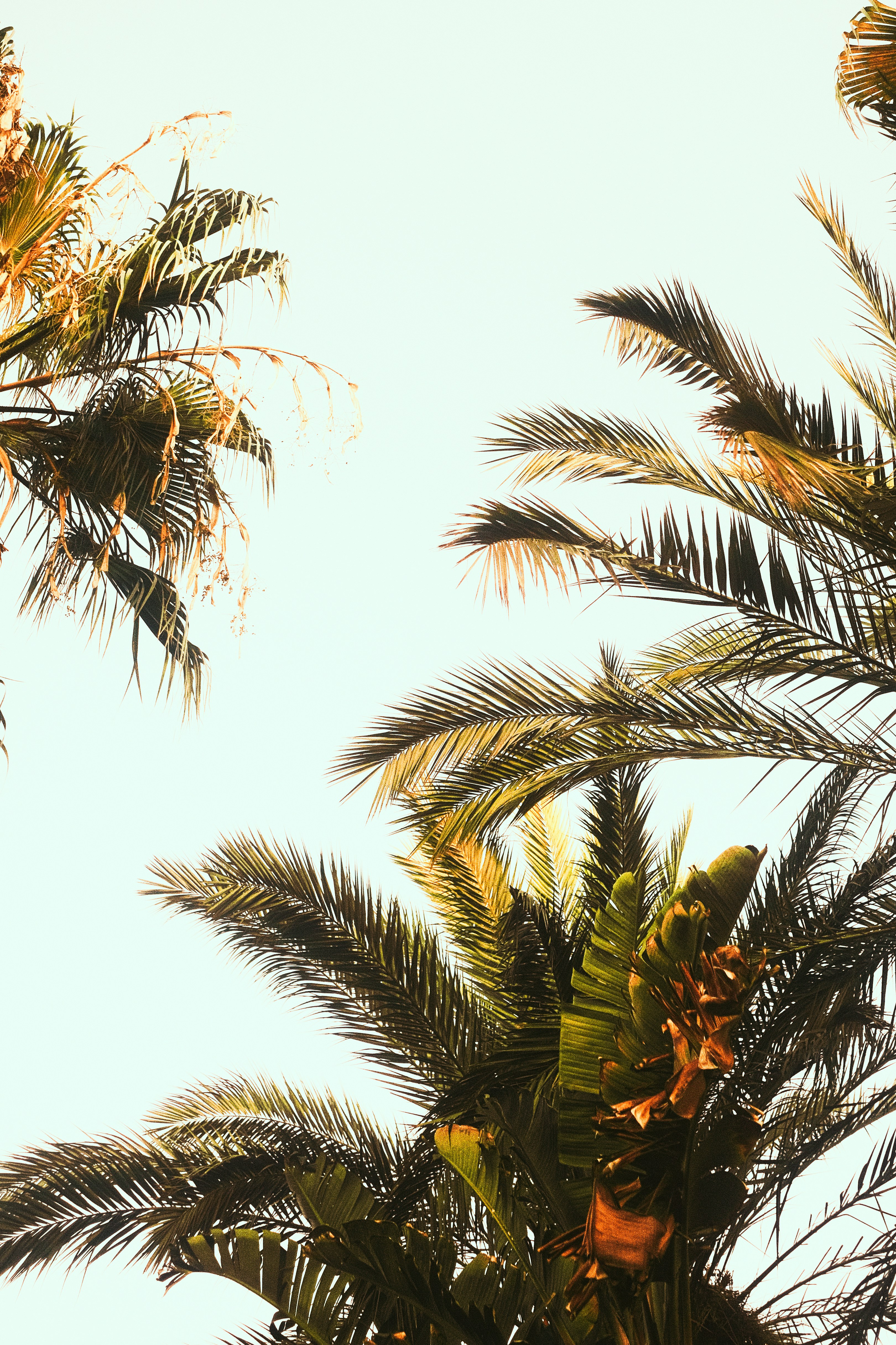 Photo by visualsbying