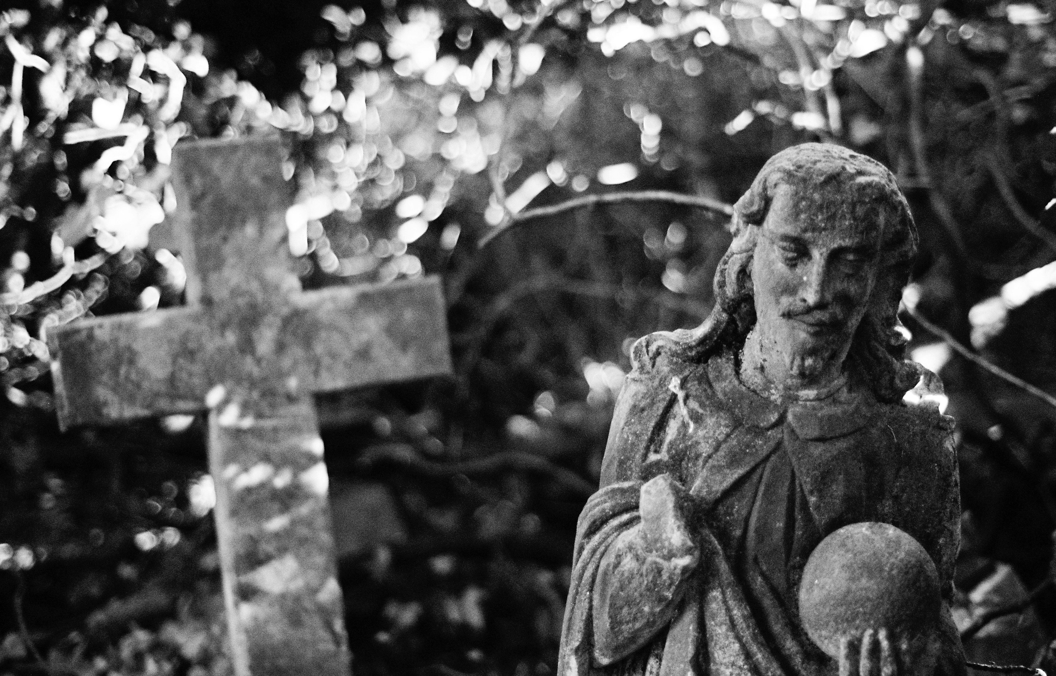 Photo by tomasrobertson