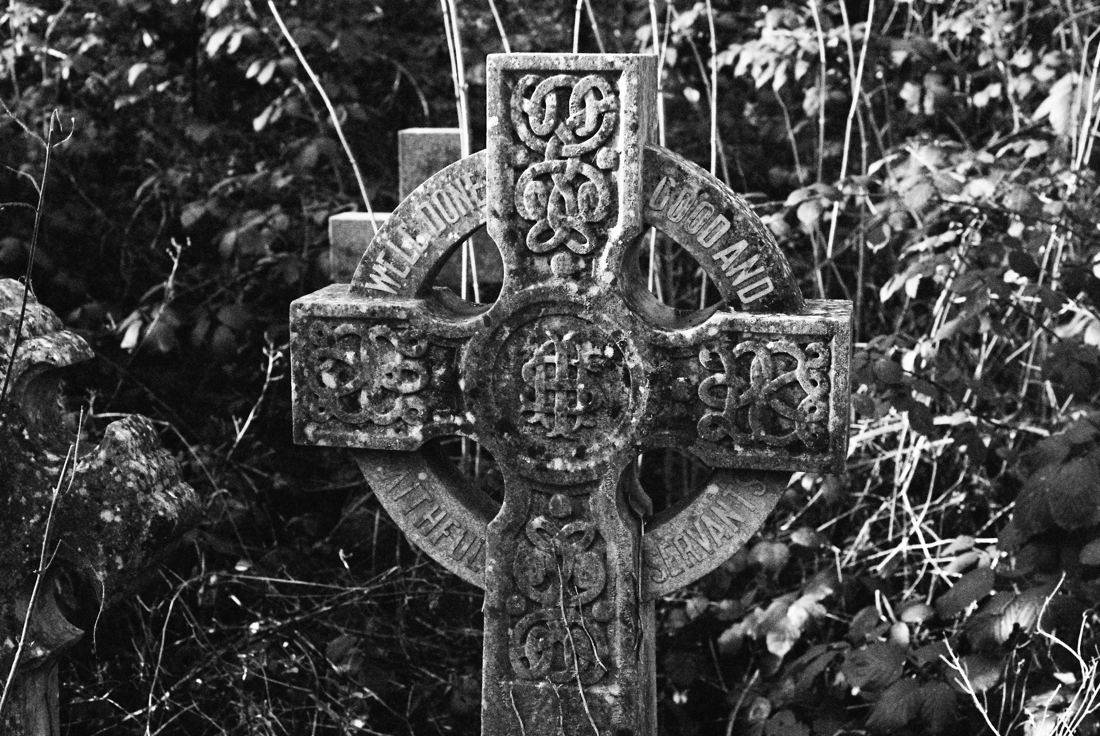 Photo by tomasrobertson