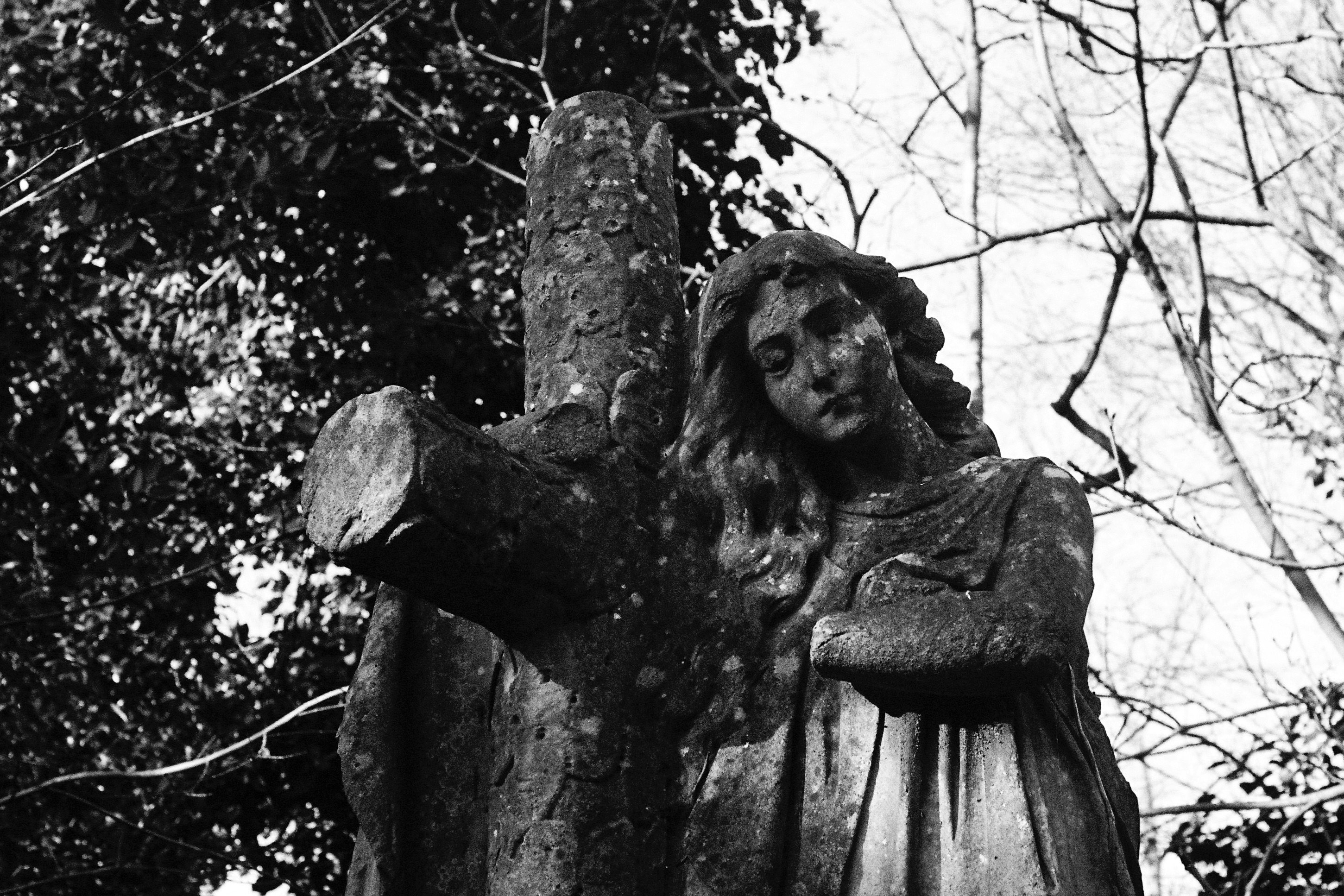 Photo by tomasrobertson