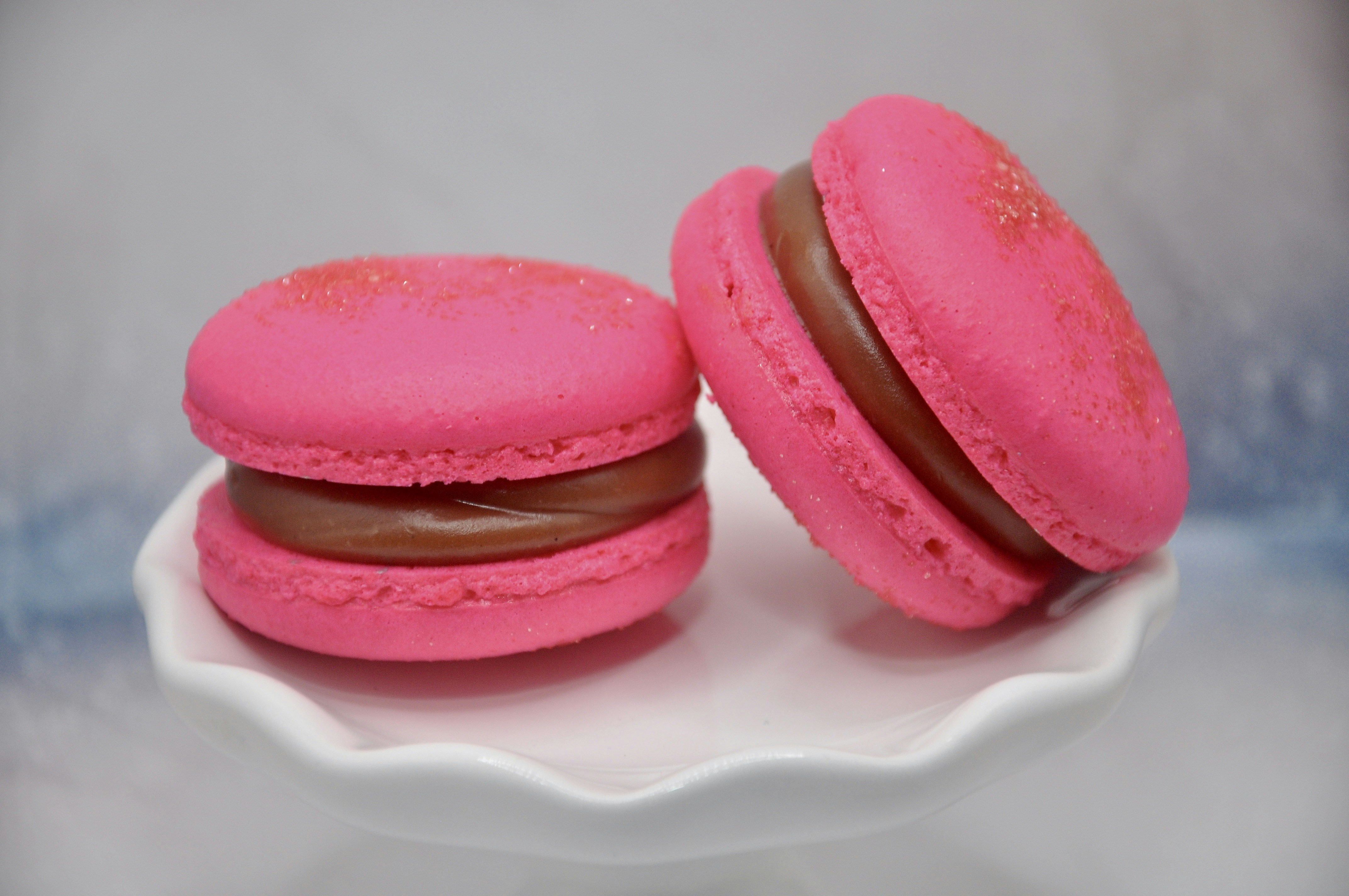 Photo by cameramandan83